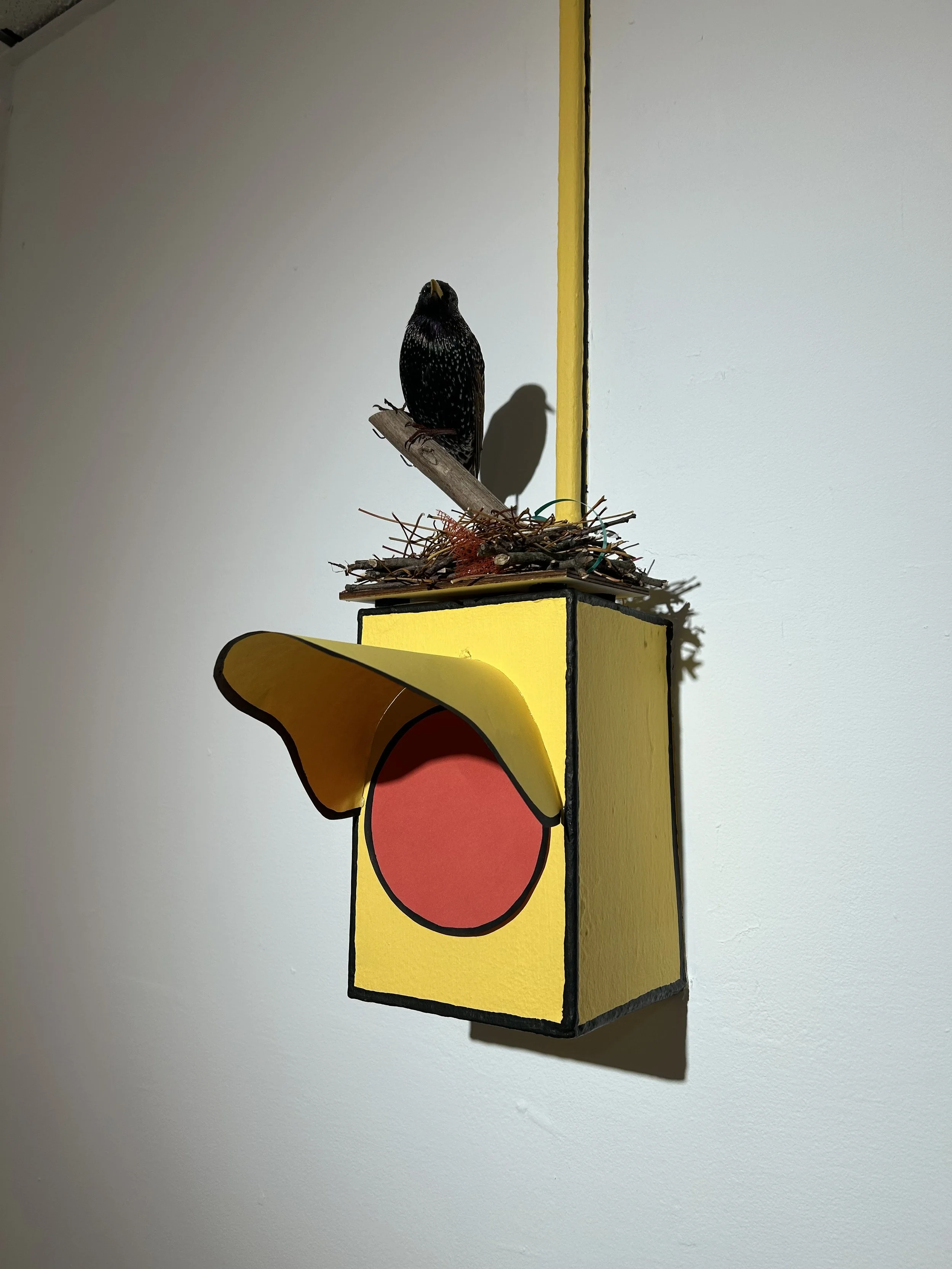 Good Things and Bad Things Will Happen, 2025, site-specific installation
