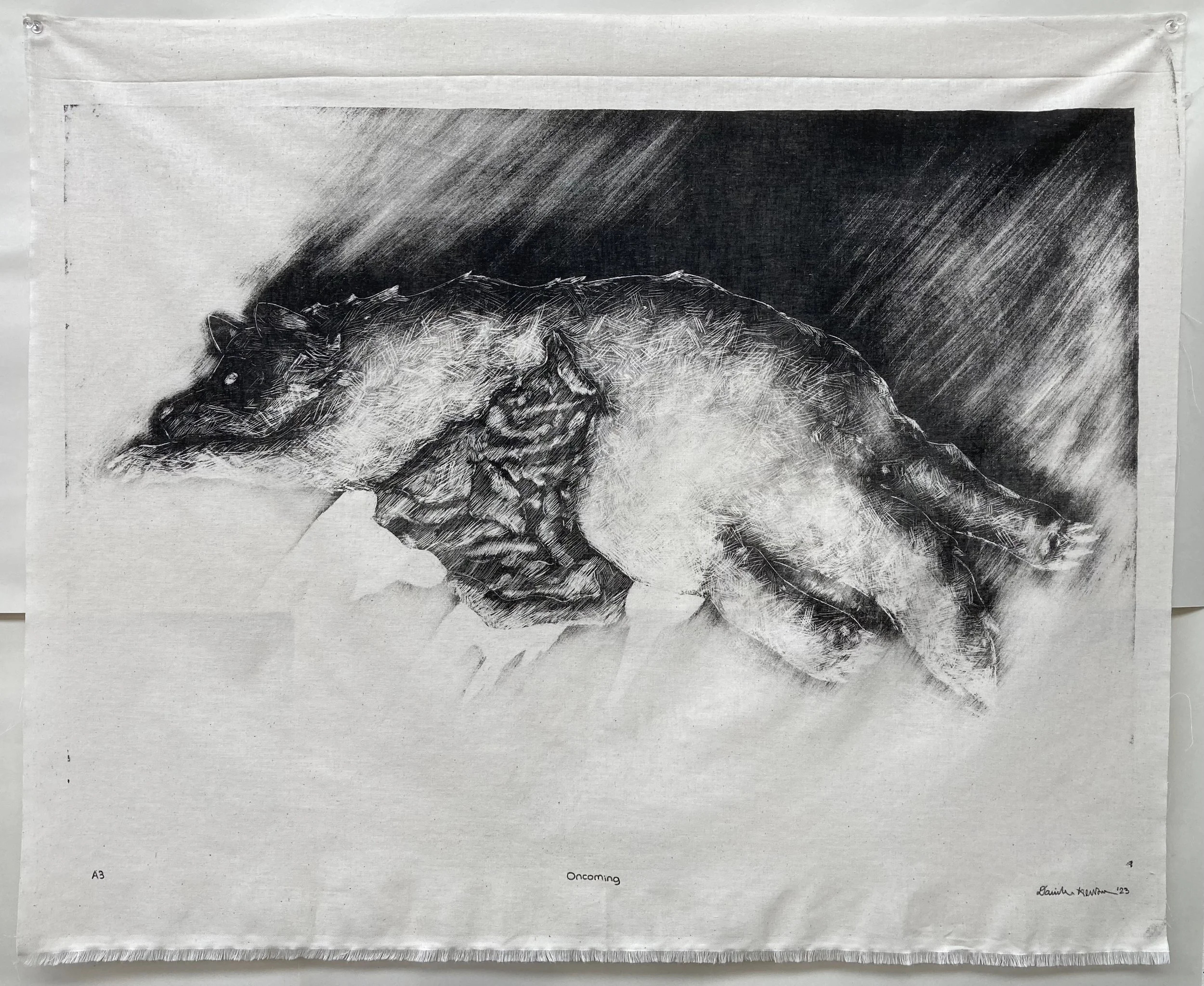 Oncoming, 2023, stone lithograph on fabric, 24.5" x 30"
