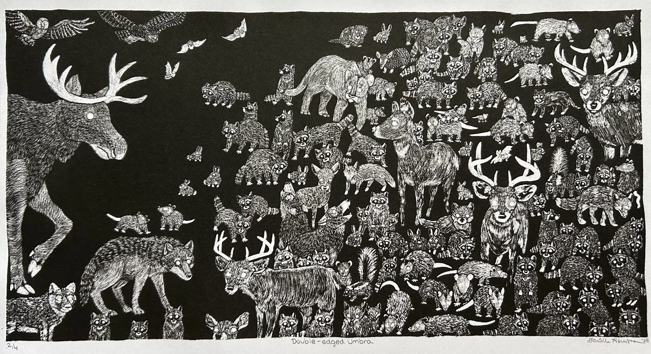 Double-Edged Umbra, 2025, stone lithograph