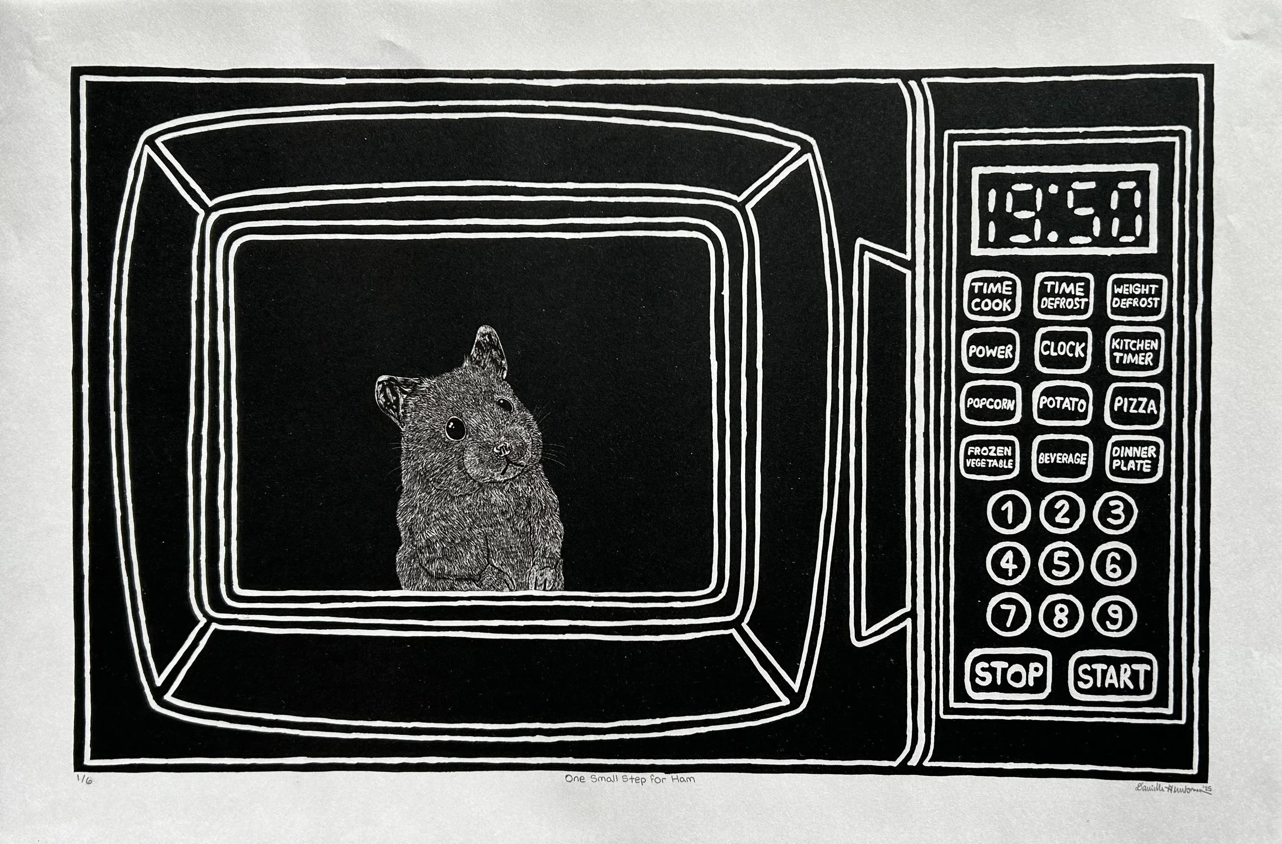 One Small Step for Ham, 2025, stone lithograph, 12" x 18"