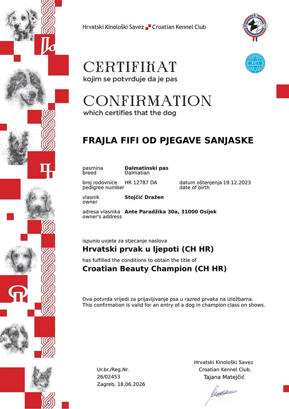 Dog breed certification document from the Croatian Kennel Club. It certifies that a Dalmatian named Frajla Fifi from Osijek has fulfilled the conditions to obtain the Croatian Beauty Champion title, issued on December 19, 2023.