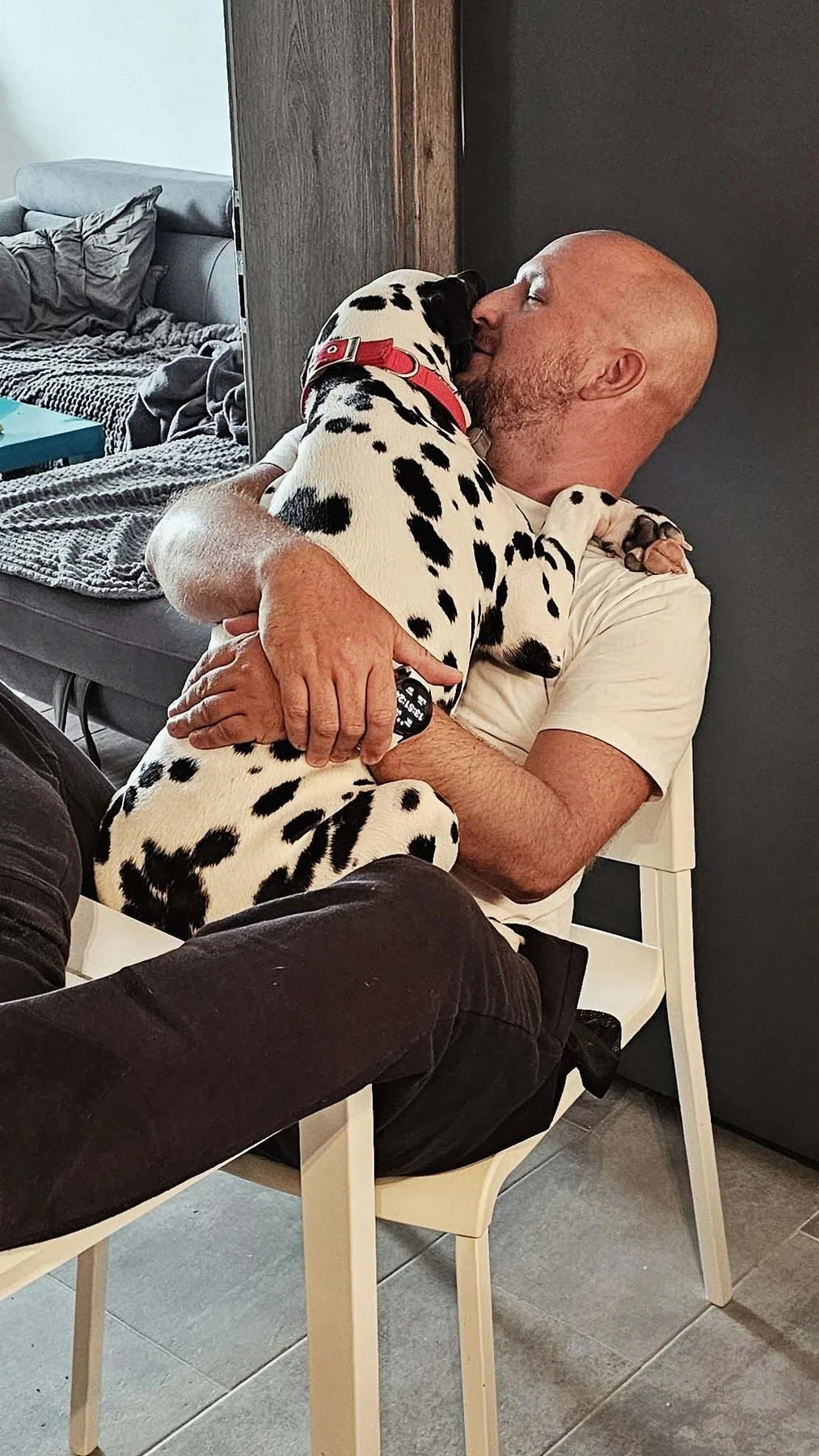 Velcro dog