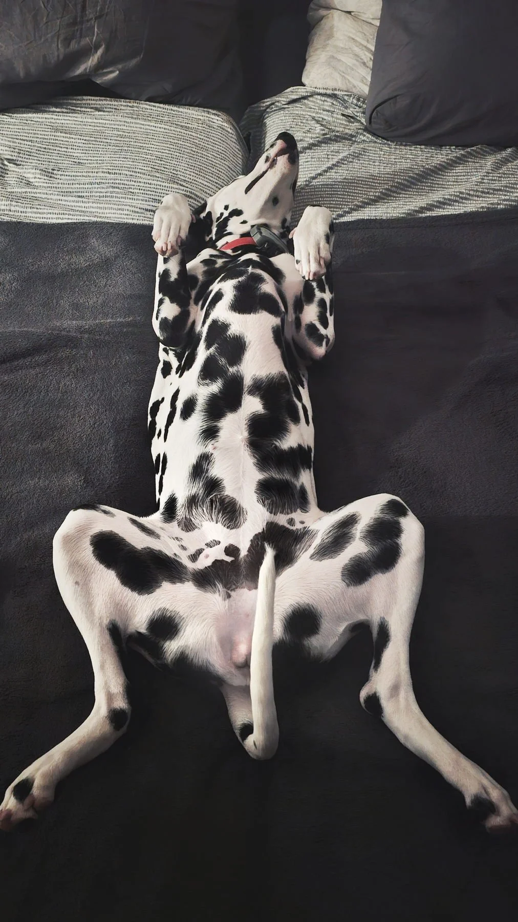 Always such a lady!
