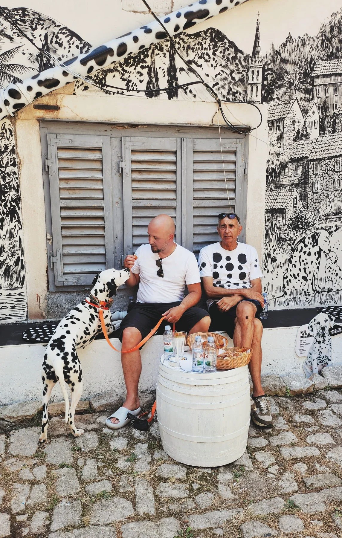 A Dalmatian is the most obedient dog, as long as you're holding a piece of food in your hand