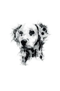 Black and white watercolor-style portrait of a dog with floppy ears.