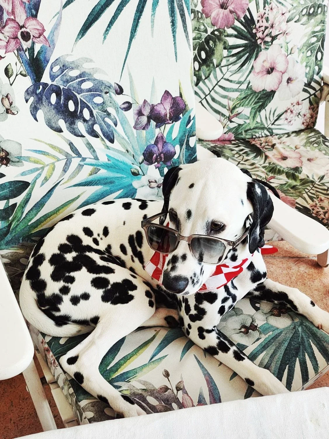 Vogue