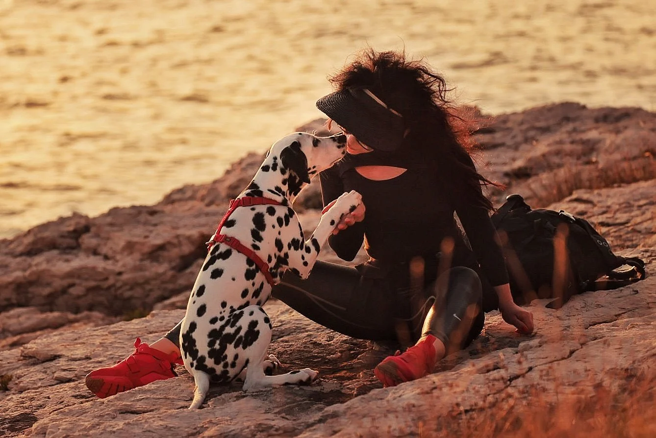 A Dalmatian dog and a woman sitting on rocky terrain near water at sunset, facing each other and holding paws.