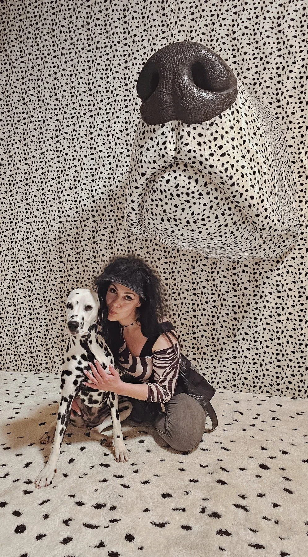 Visiting museum of Dalmatians in Šibenik