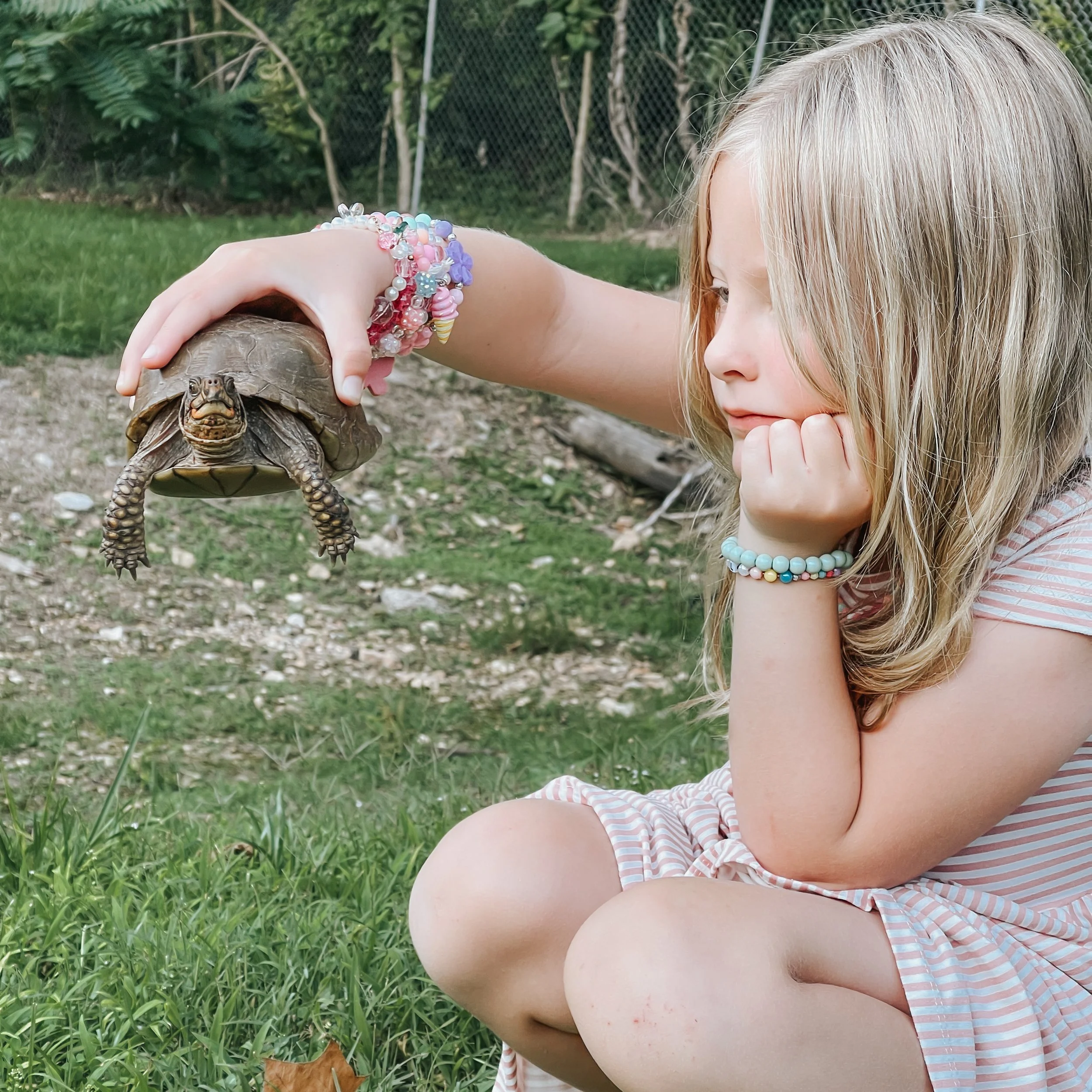 What we mean by lifelong learning