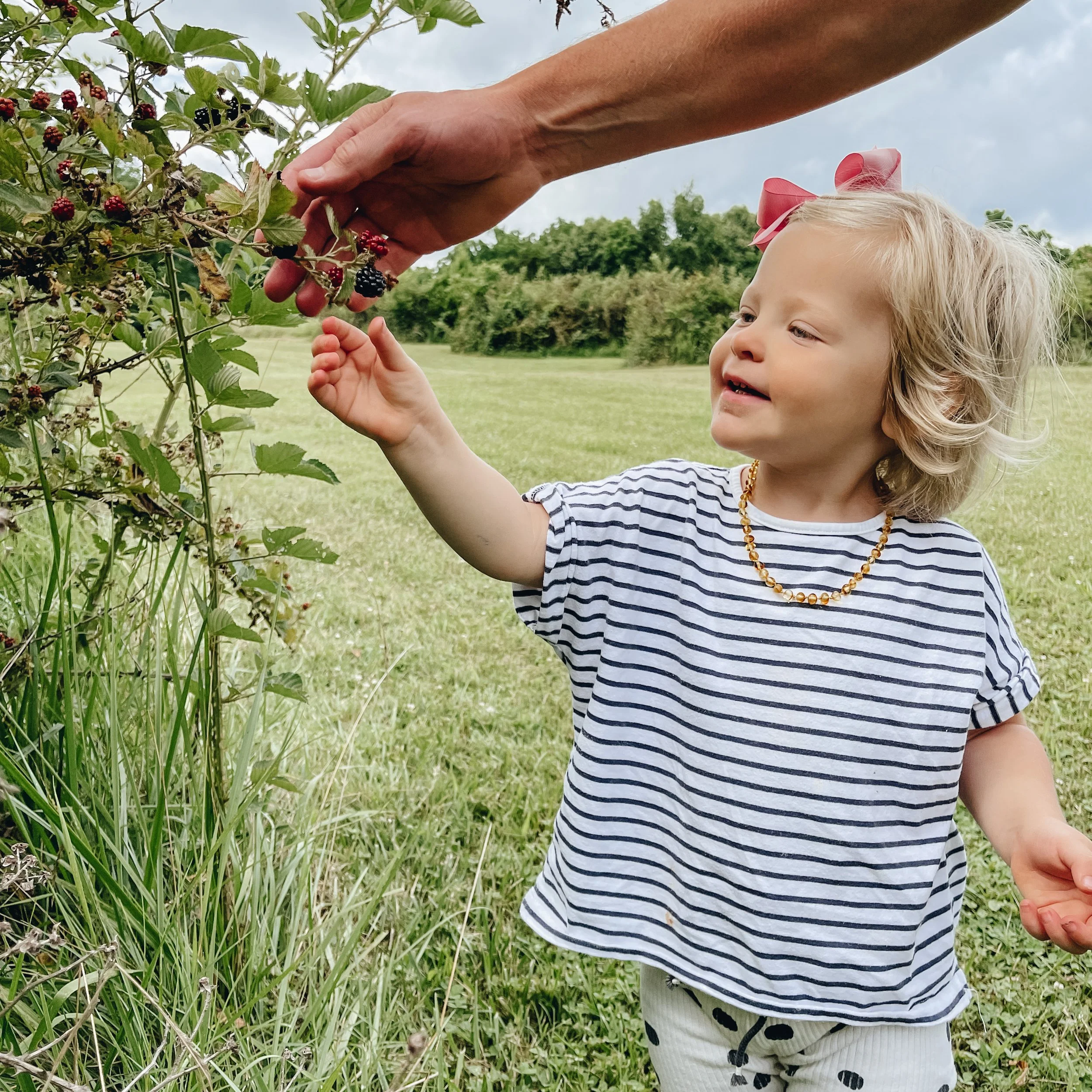 A young girl with blonde hair, wearing a striped shirt, a beaded necklace, and a pink bow in her hair, reaches towards a blackberry bush with ripe blackberries and green leaves, outdoors in a grassy area with trees and a cloudy sky in the background.