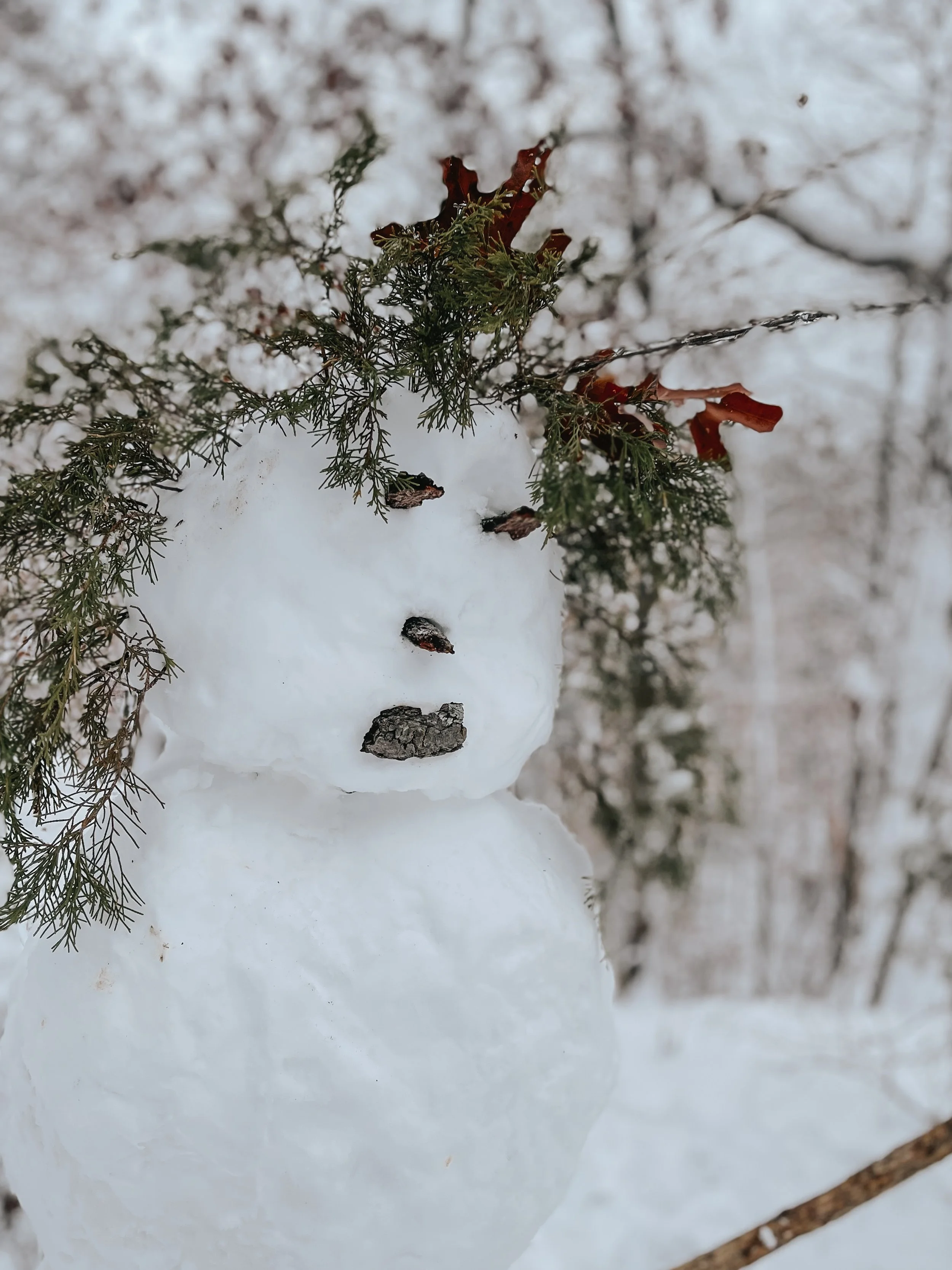 A small snowman with a tree branch nose, small stones for eyes and mouth, nestled in snow and surrounded by snow-covered trees and branches.