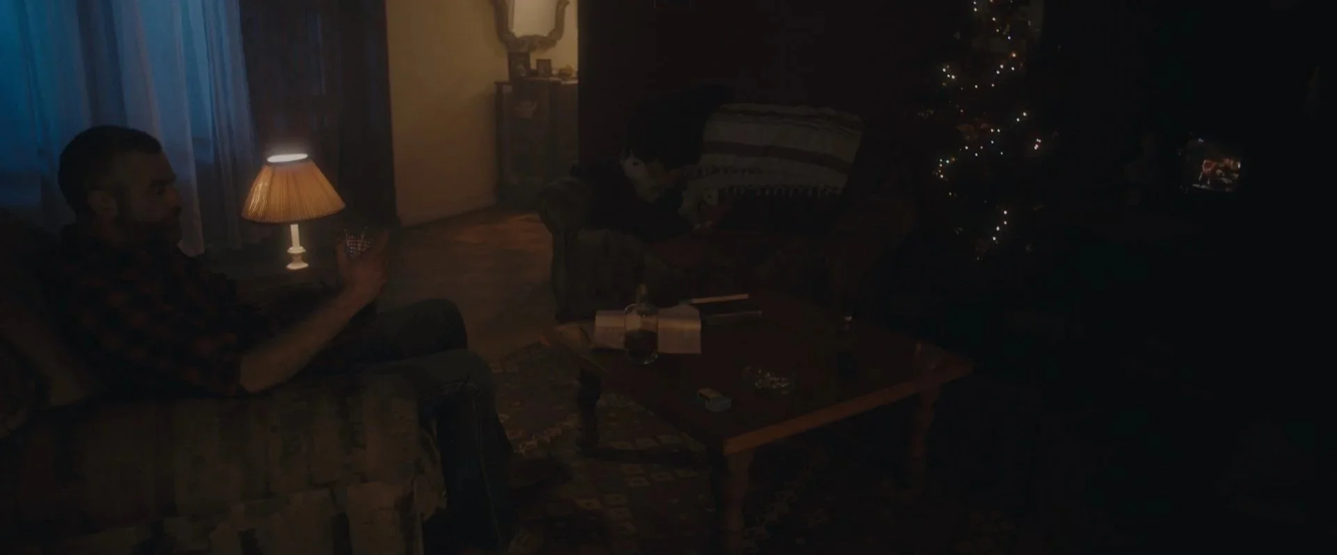 Dimly lit living room with a man sitting on a sofa, a table with drinks, a Christmas tree with lights, a lamp, and a few decorative items.