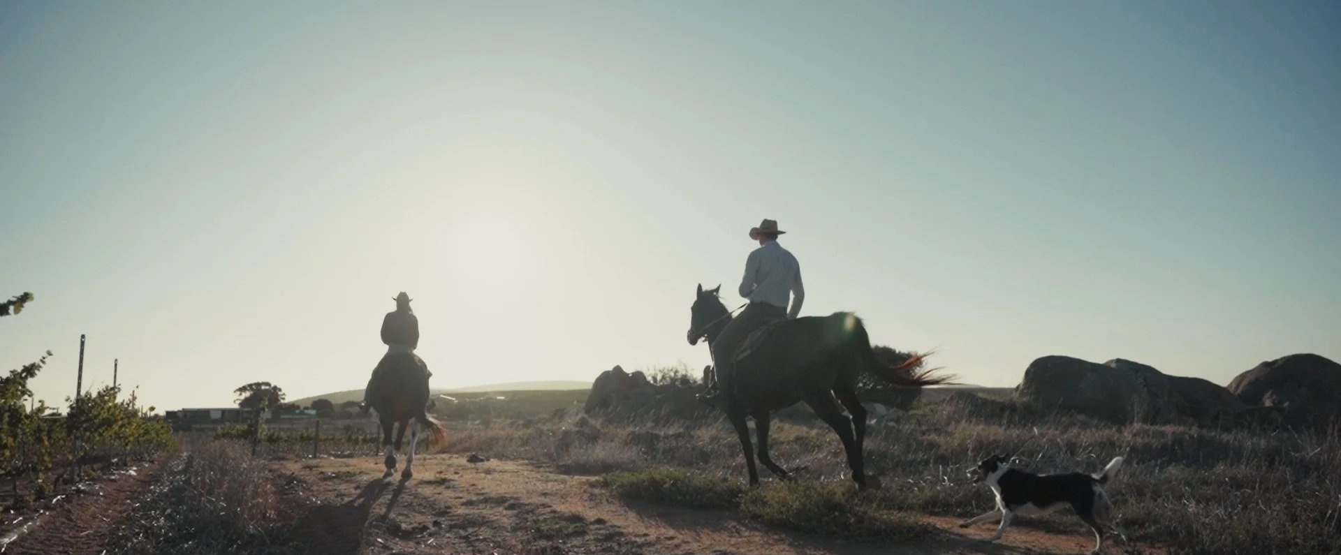 Two people riding horses and a dog running on a dirt path in a rural, rocky landscape during sunset or sunrise.