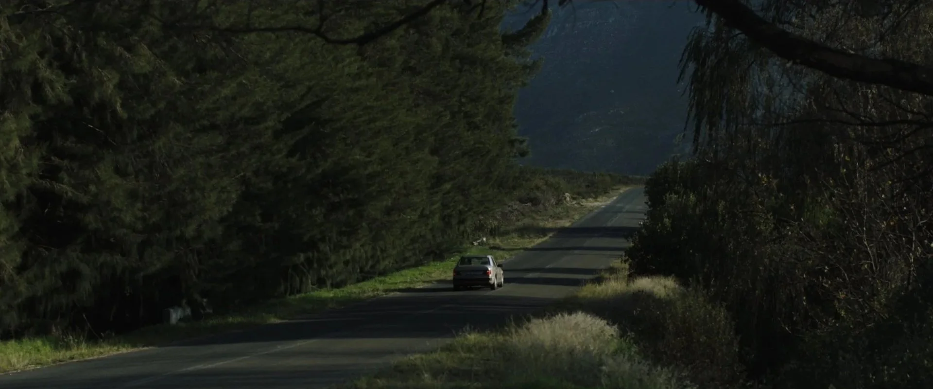 A car driving on a narrow, winding road surrounded by tall trees in a forested area, with mountains visible in the distance under a dark sky.