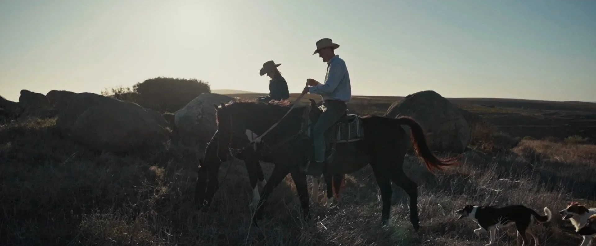 Two people riding horses and herding dogs during sunset on a rocky, grassy landscape.