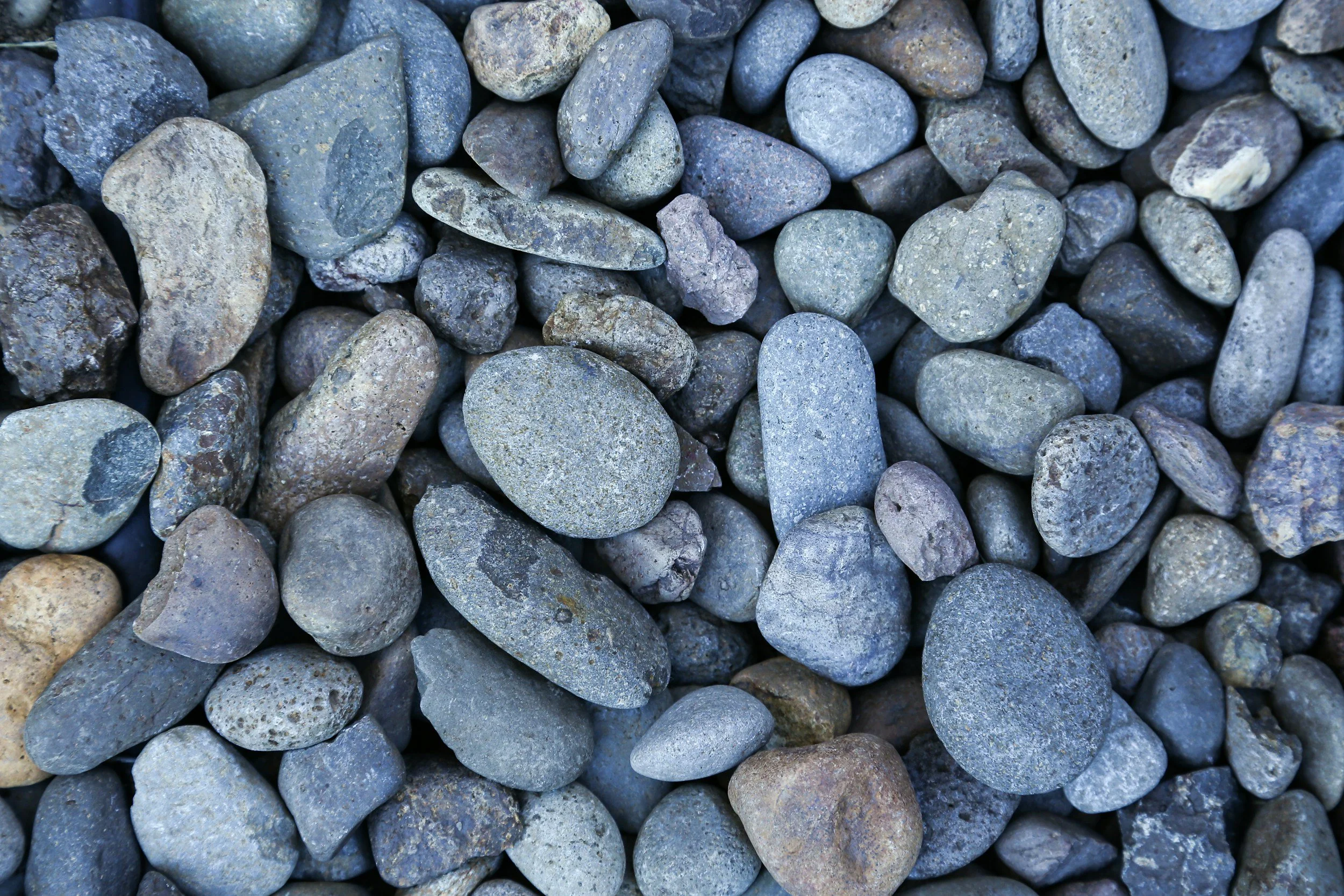 Close-up of various small to medium-sized gray and tan rocks with textured surfaces.