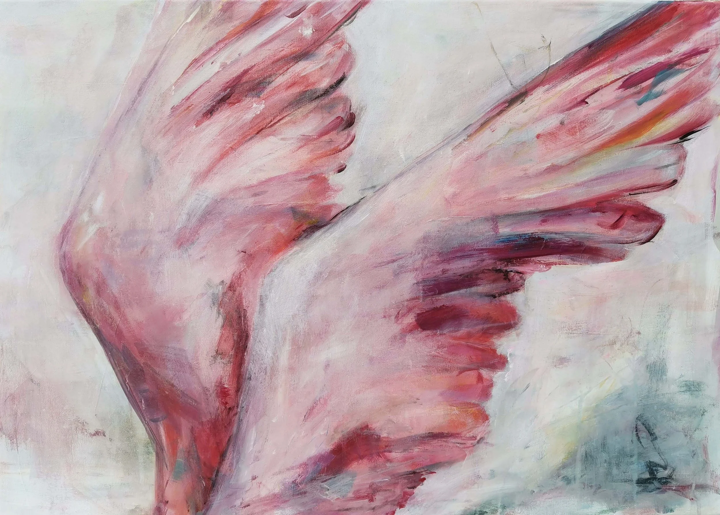 A painting of Wings , painted with pink, red, black, and other soft colors on a light background.