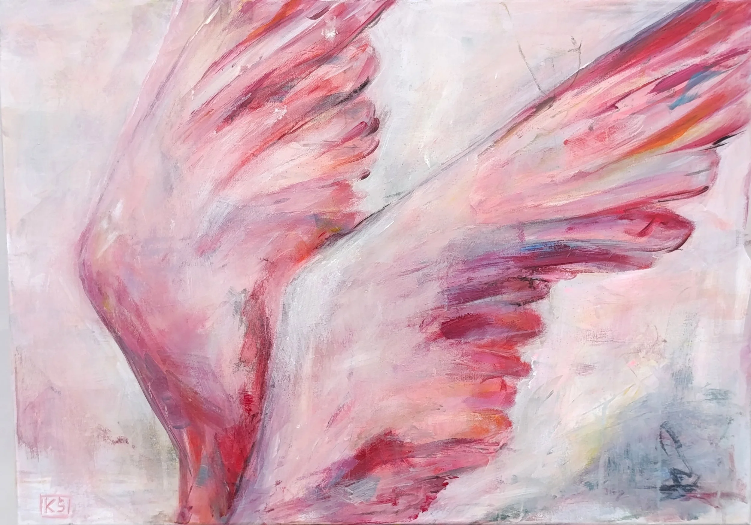 wings