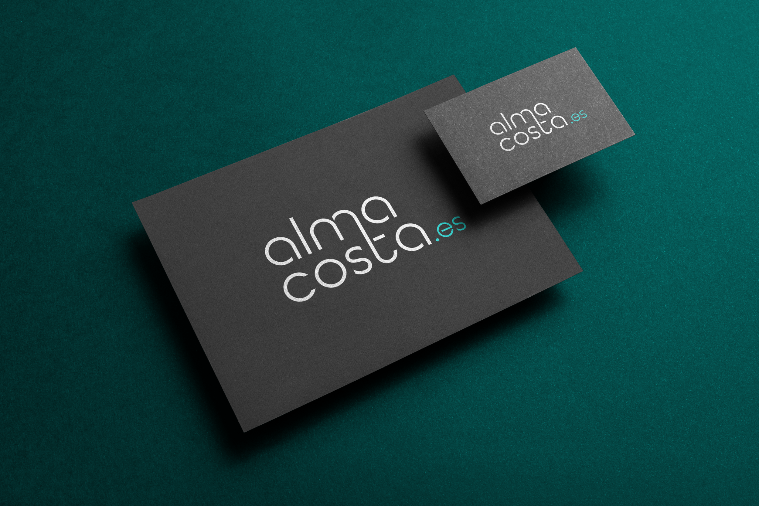 Alma Costa Mockup.png