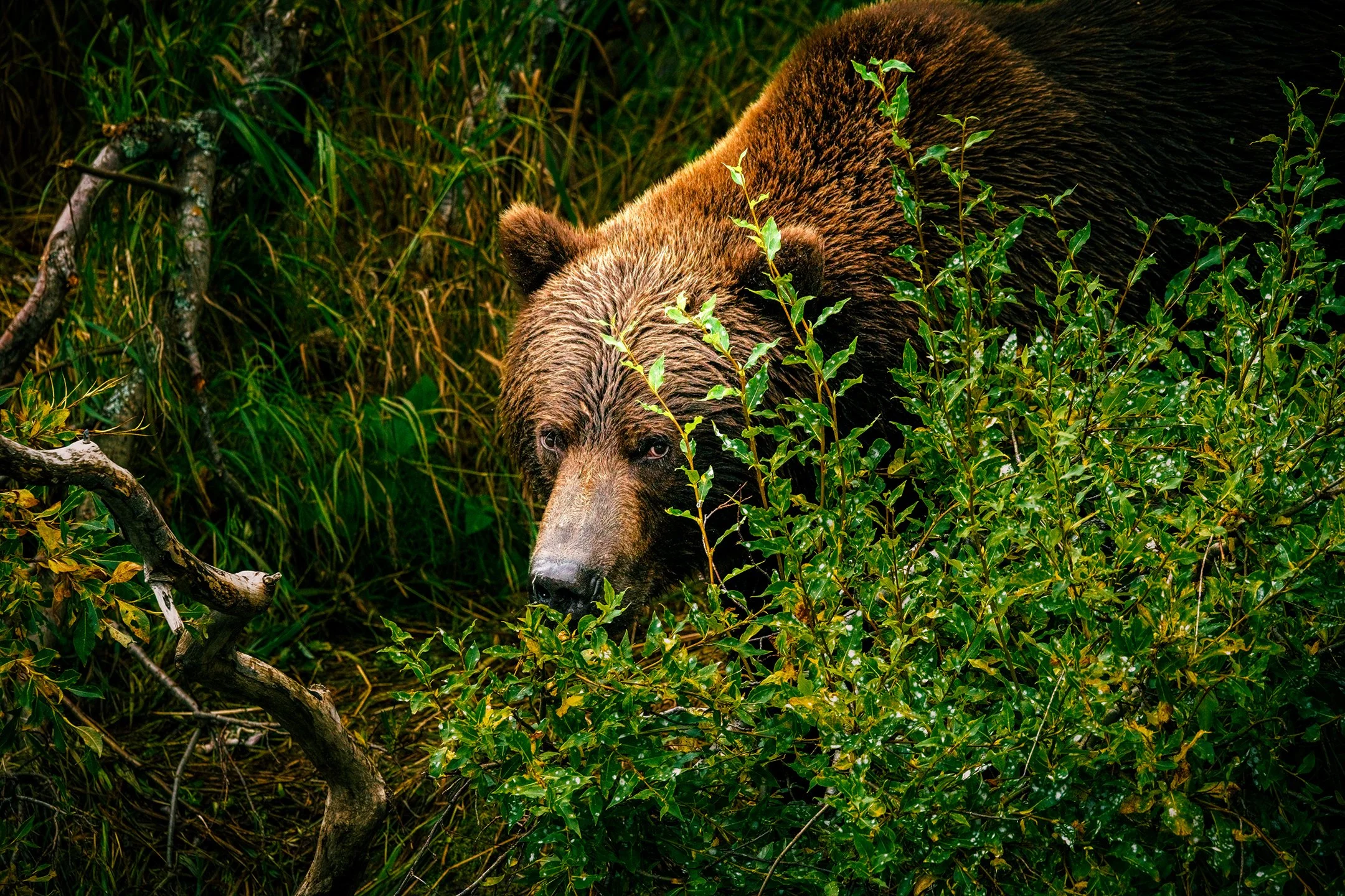 DSC_1448.jpg