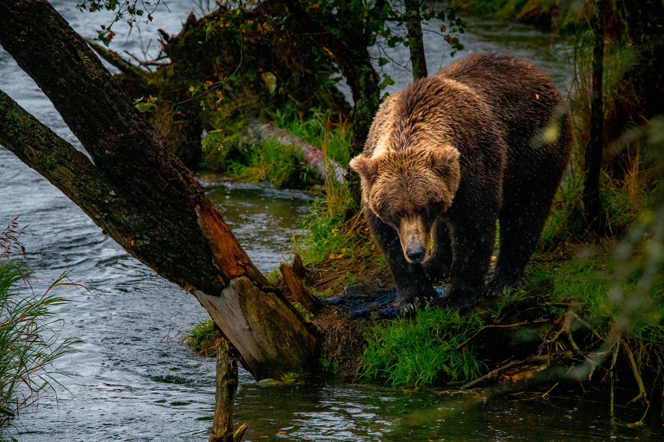 DSC_3790.jpg