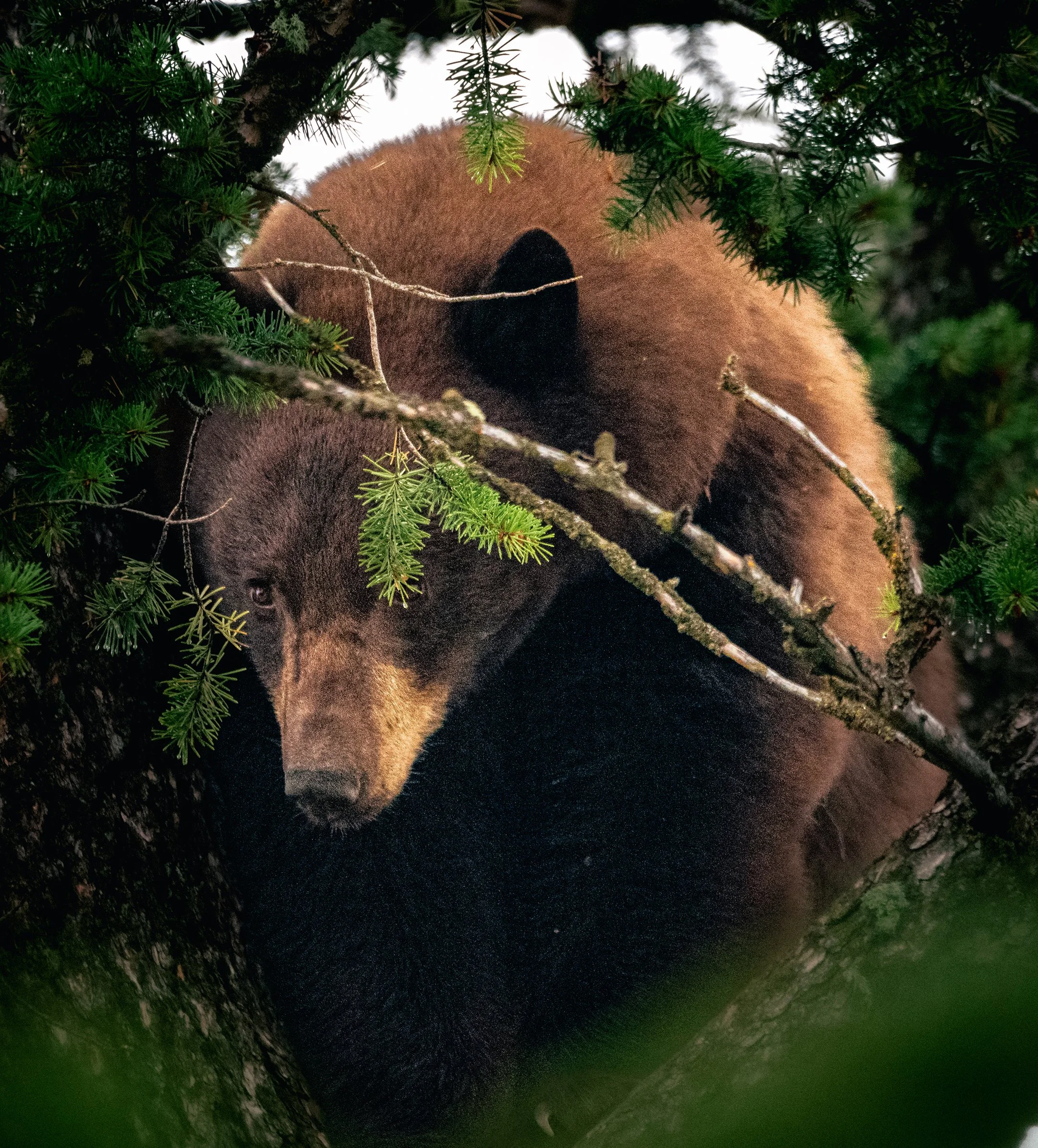DSC_4443.jpg