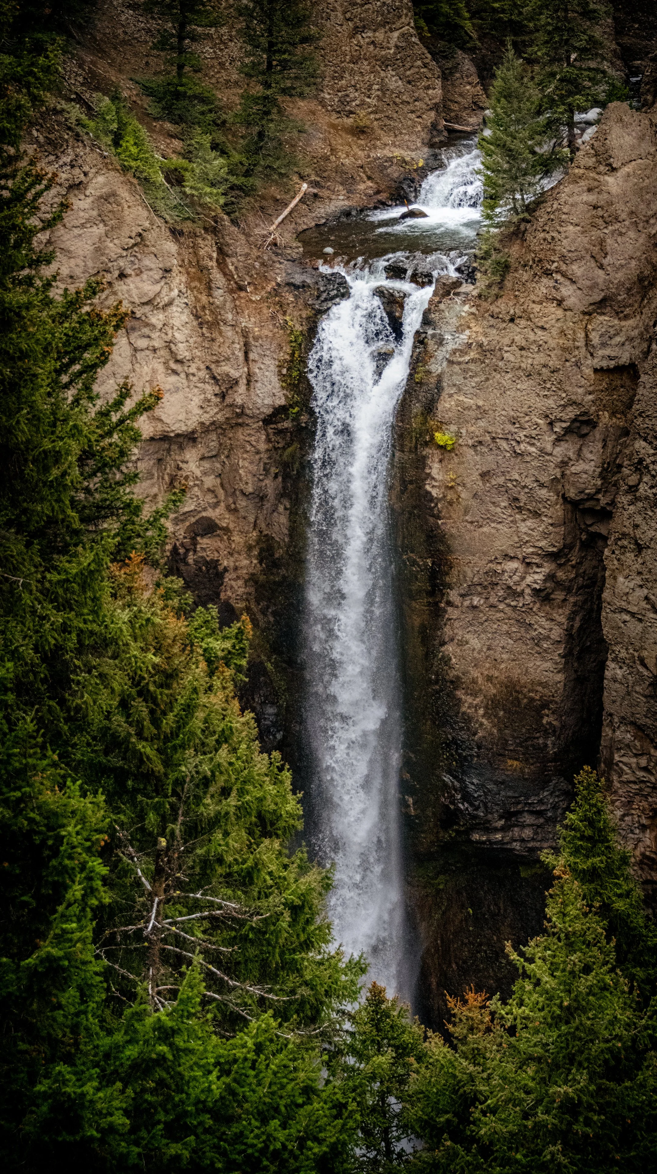 DSC_3928.jpg