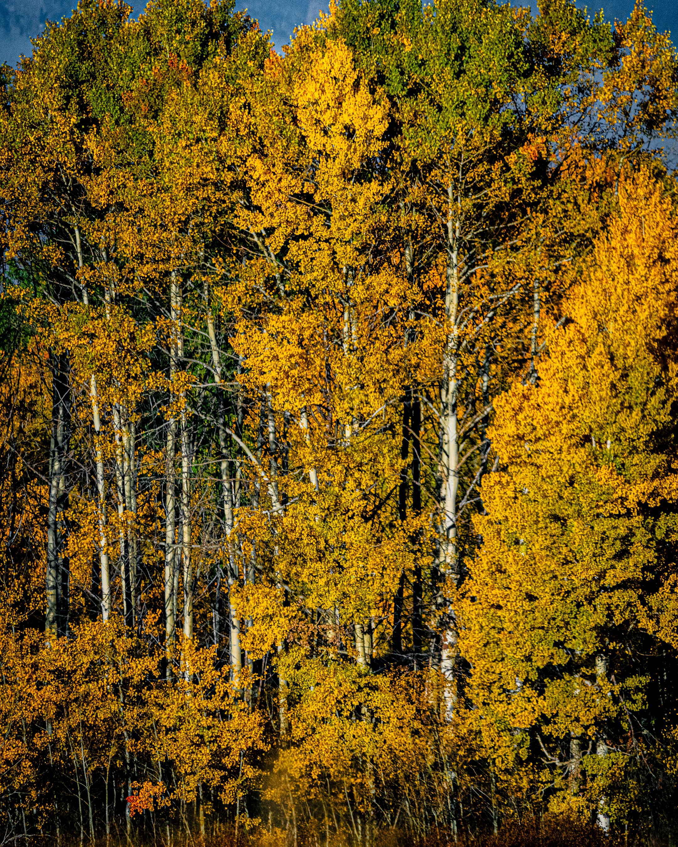 DSC_4589.jpg