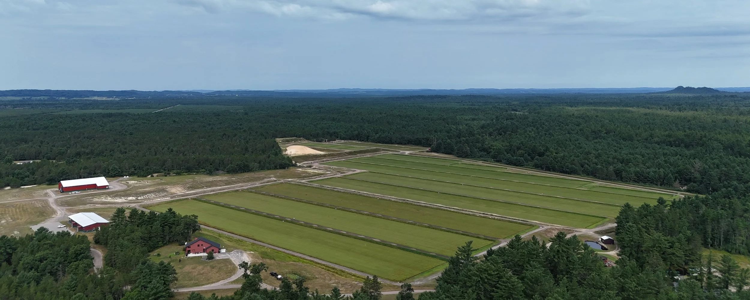 Aerial photo of marsh