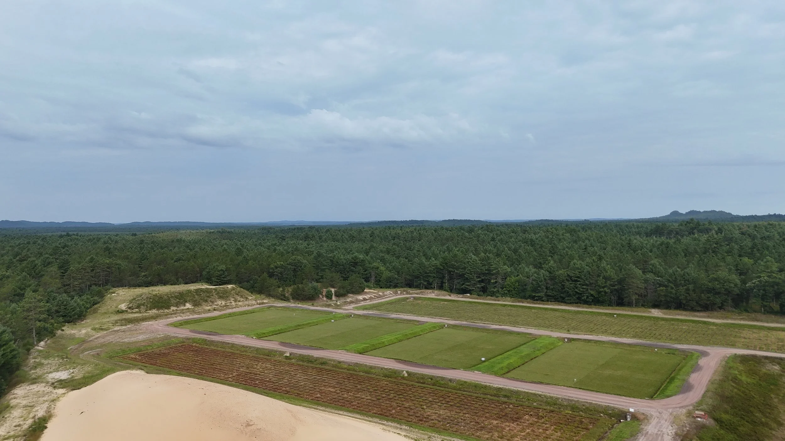 Cranberry beds from sky view