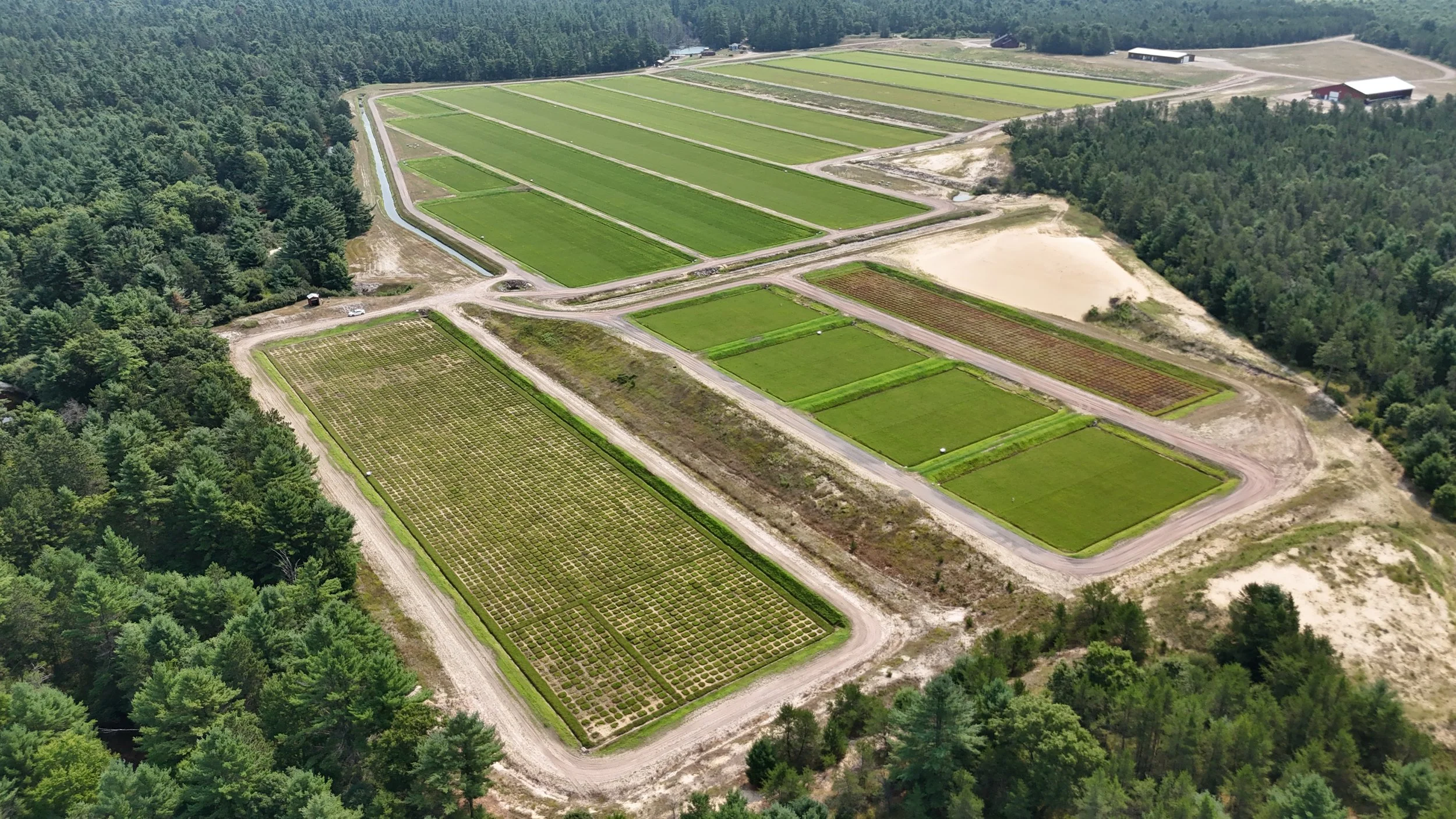 Full aerial view of marsh