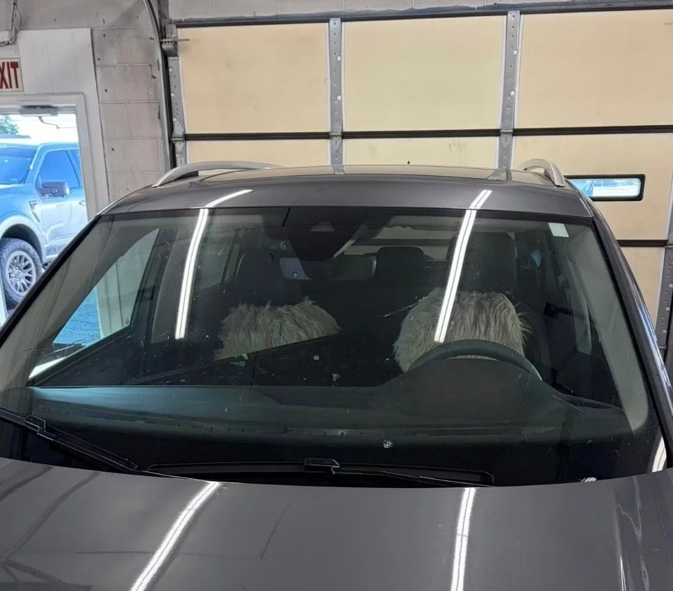 Two fluffy white dogs sitting in the back seats of a car parked inside a garage.