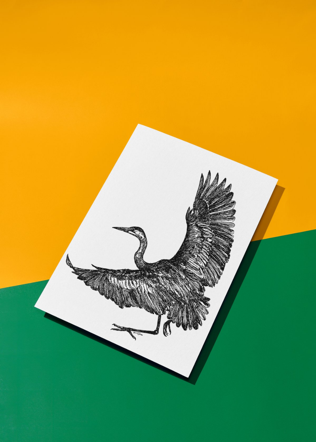 Carolina Bird Postcard Bundle