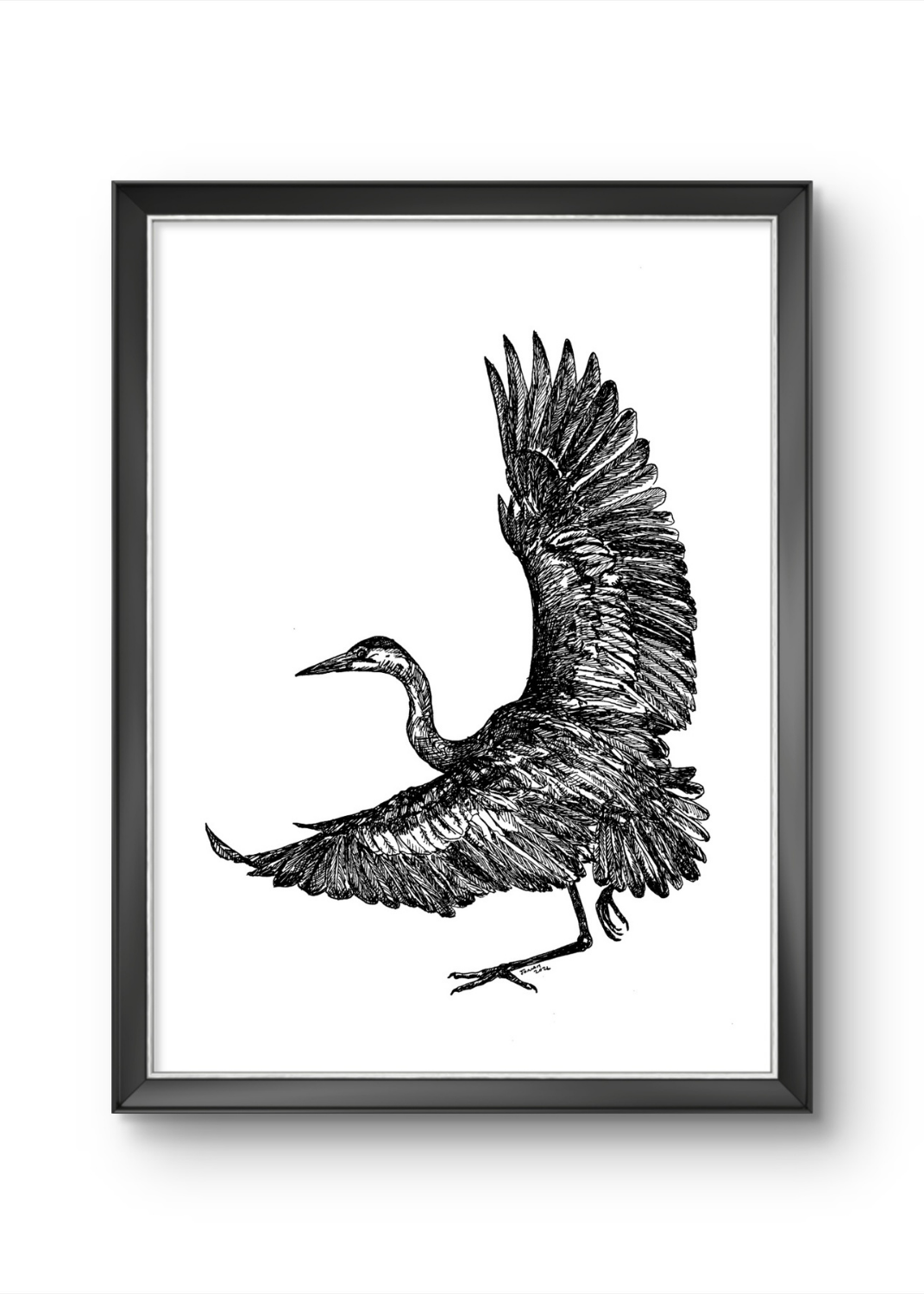 Great Blue Heron