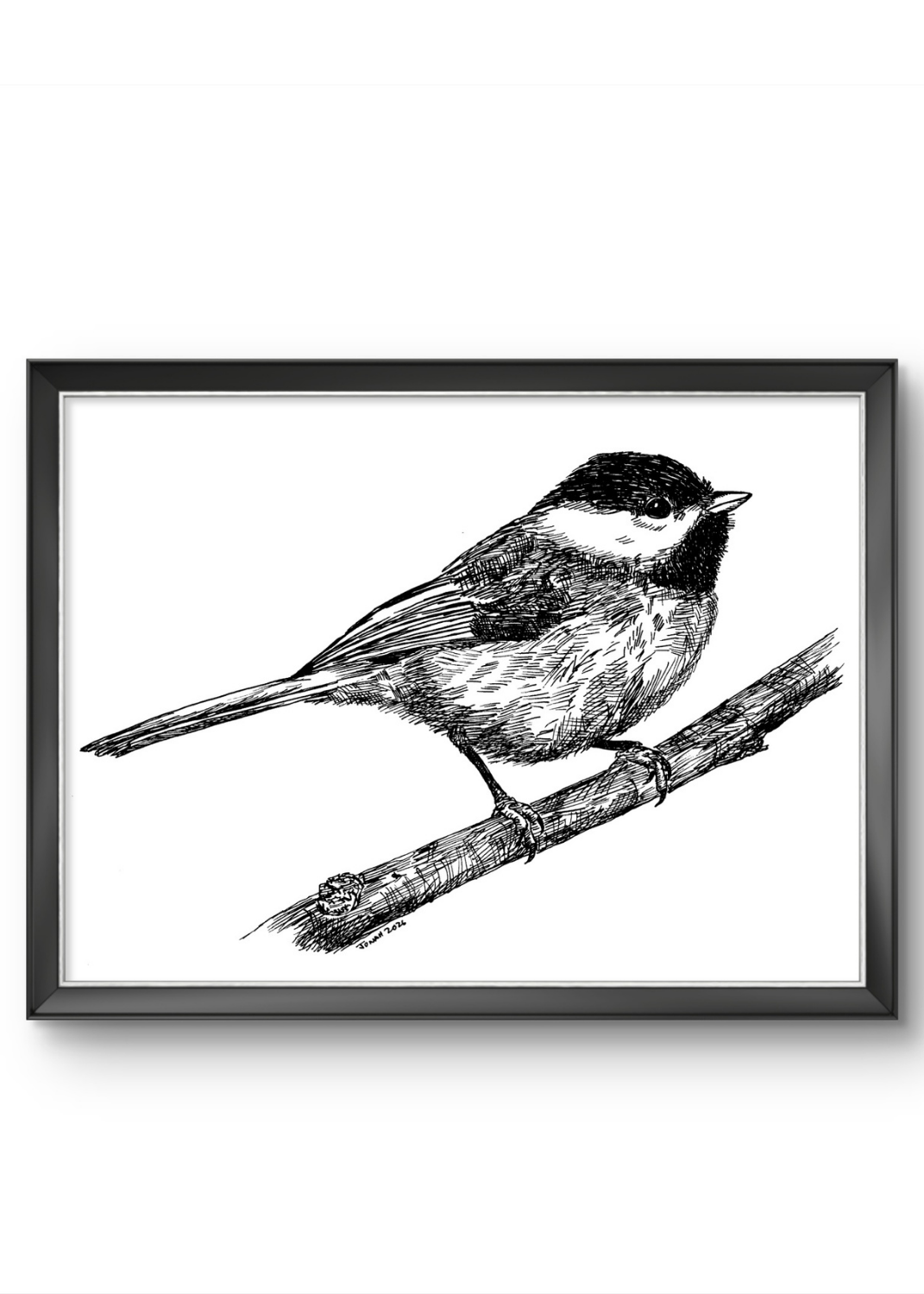 Carolina Chickadee