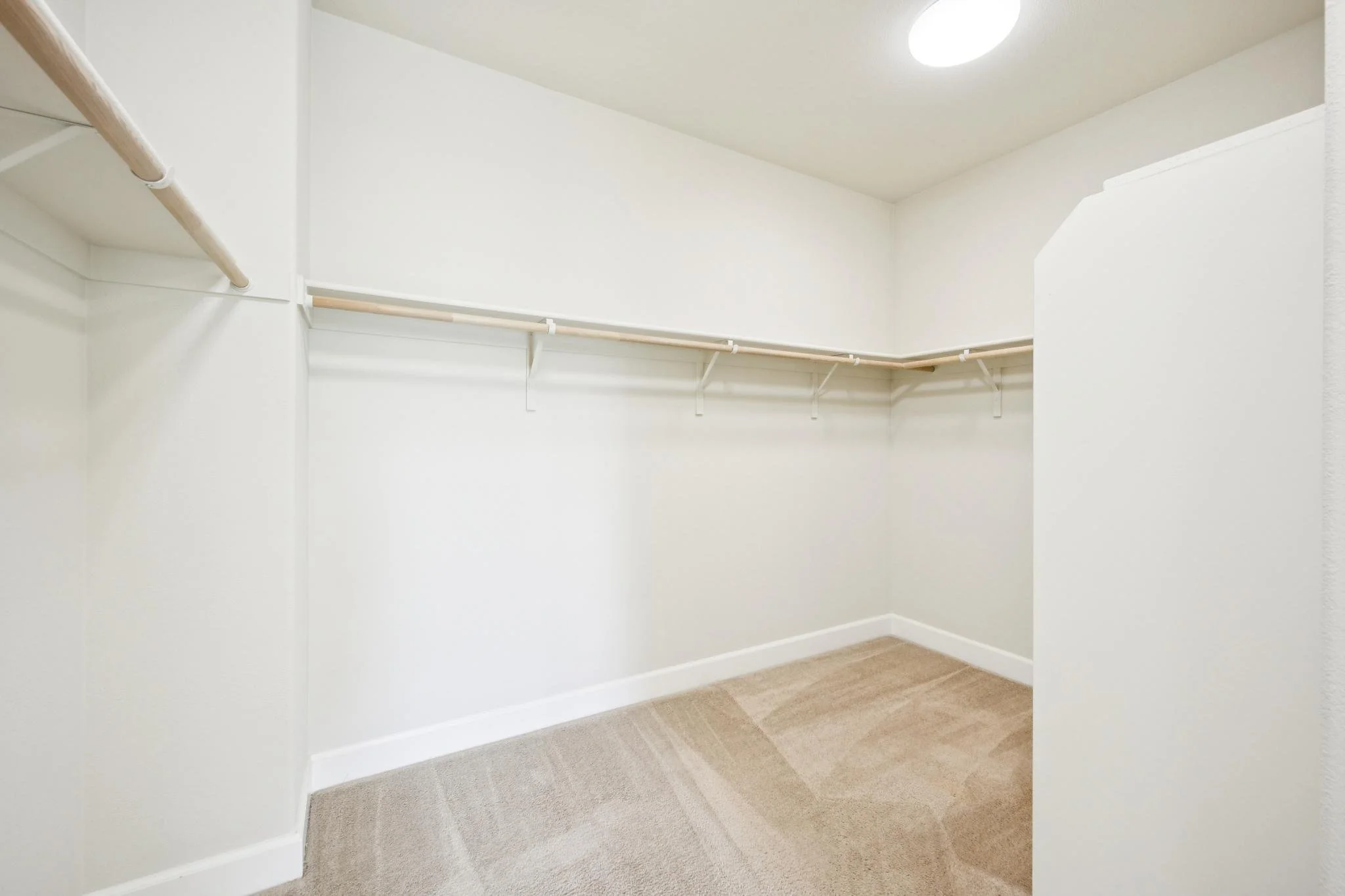 Empty walk-in closet with white walls, beige carpeting, and two wooden shelves with hanging rods.