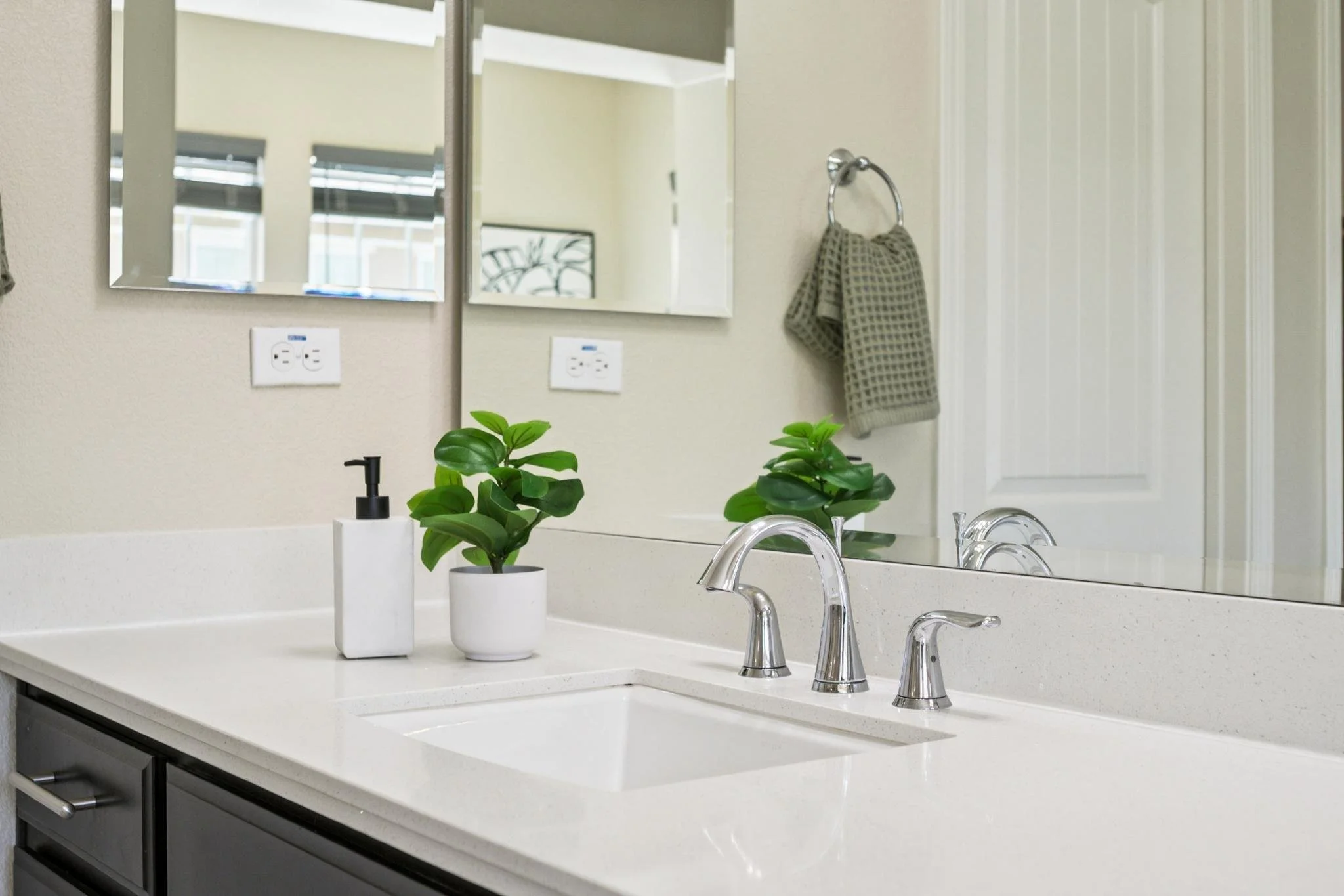 Bathroom sink with two faucets, a mirror, a plant in a white pot, a soap pump, and a towel hanging on a towel ring.
