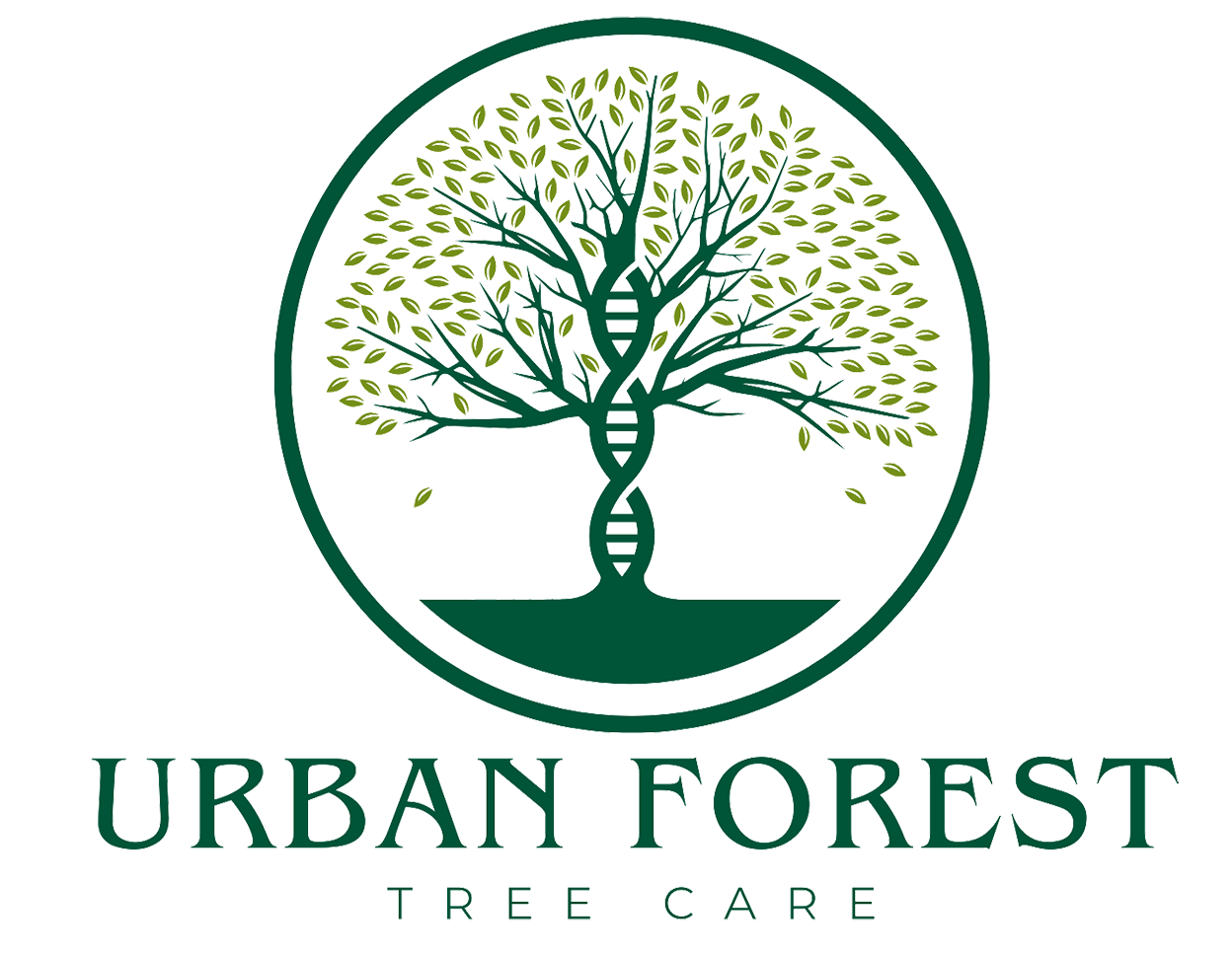 Urban Forest Tree Care