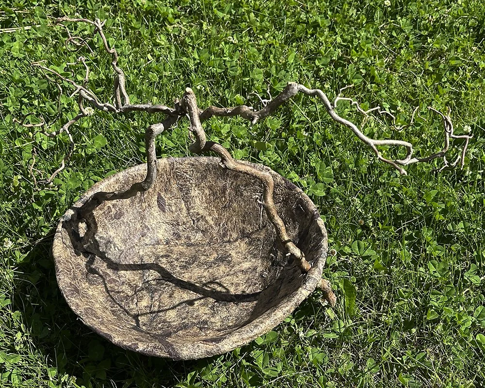 Linda Cohen bowl top on clover WEB.jpg