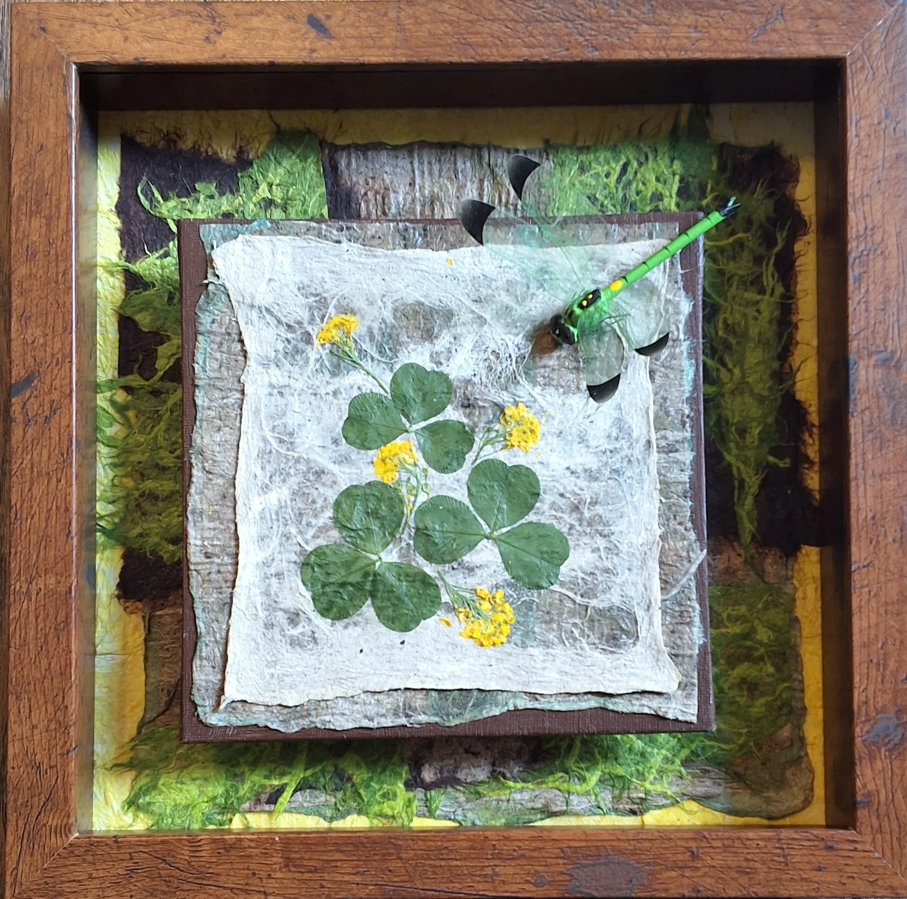 Clover, a framed piece with clover leaves on white Joomchi paper surrounded by moss, by Linda Cohen