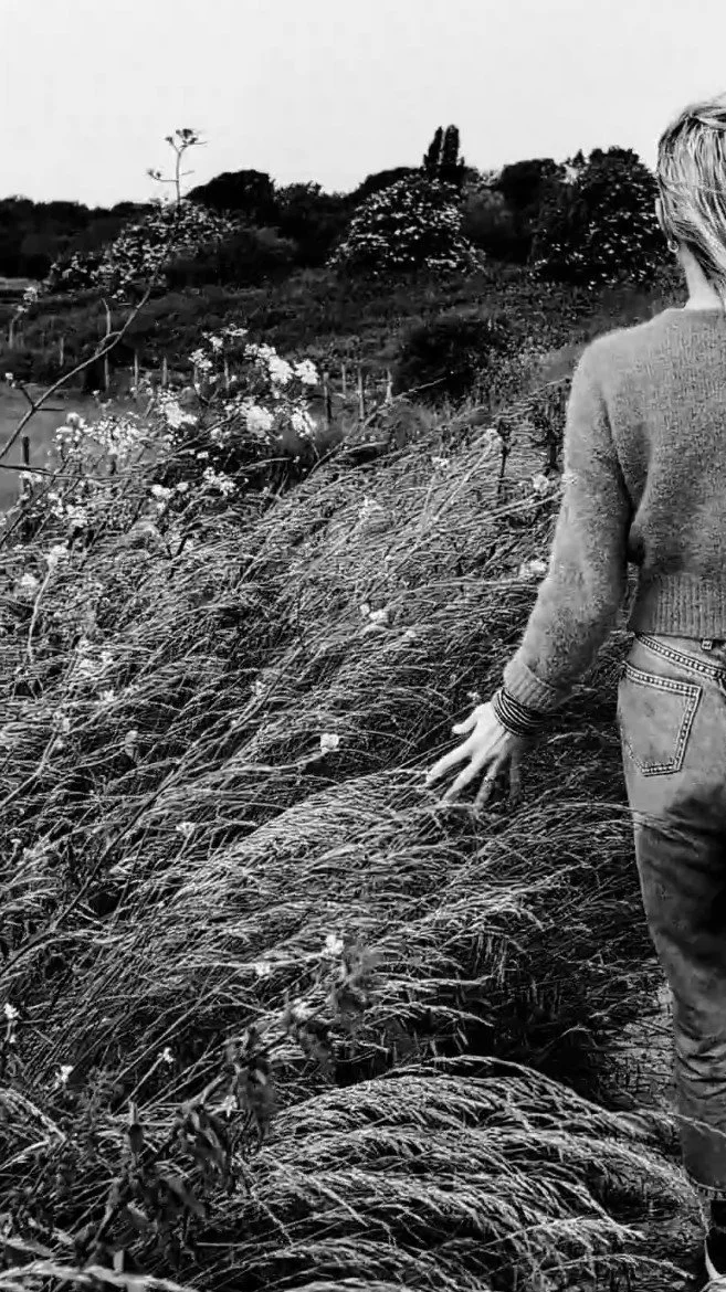 A person with blonde hair wearing a sweater and jeans walking through tall grass and wildflowers in a field, with trees in the distance.