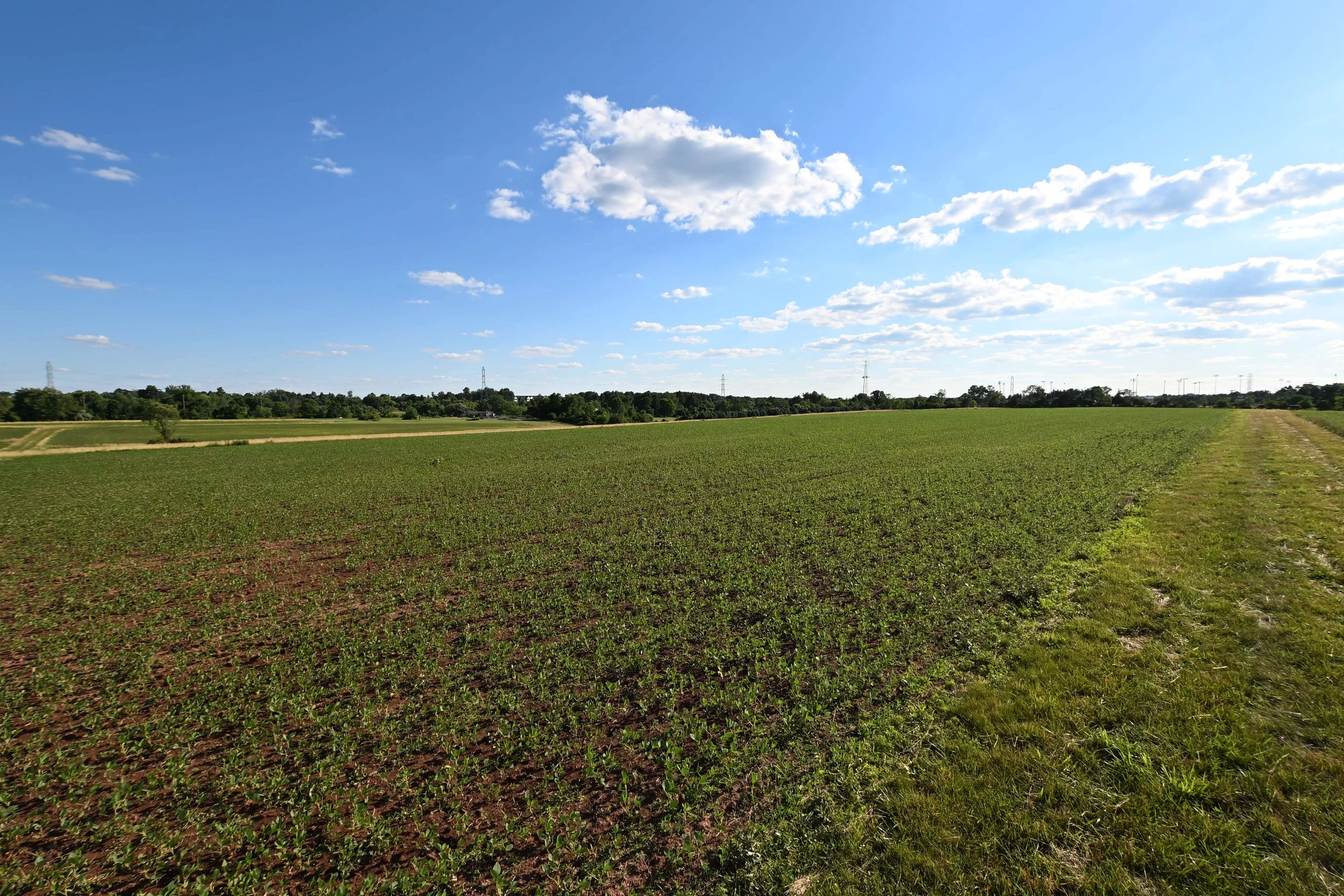 Fields