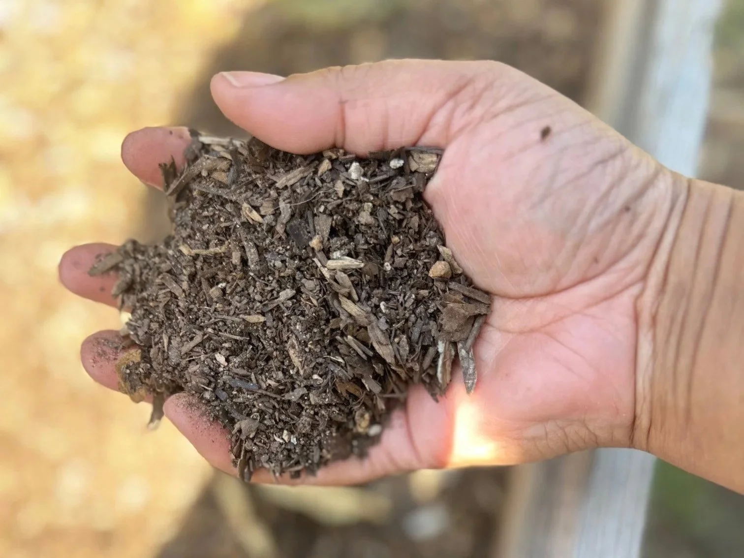 Close-up of a hand holding a handful of shredded brown soil or mulch.