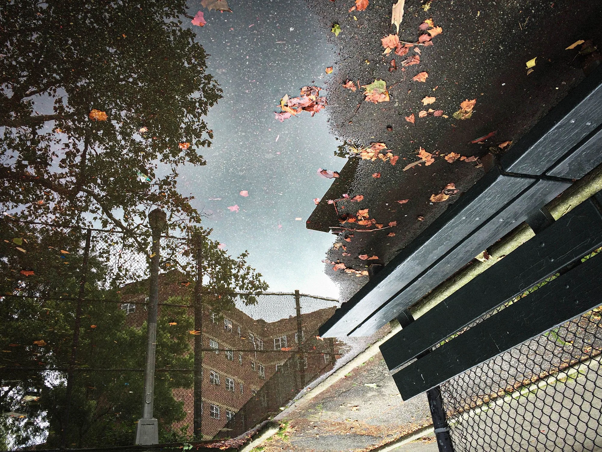 Untitled | Brownsville, Brooklyn, New York