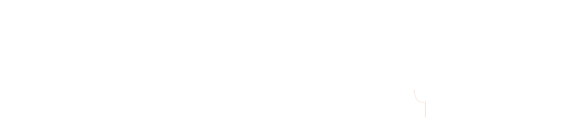 Fractal logo