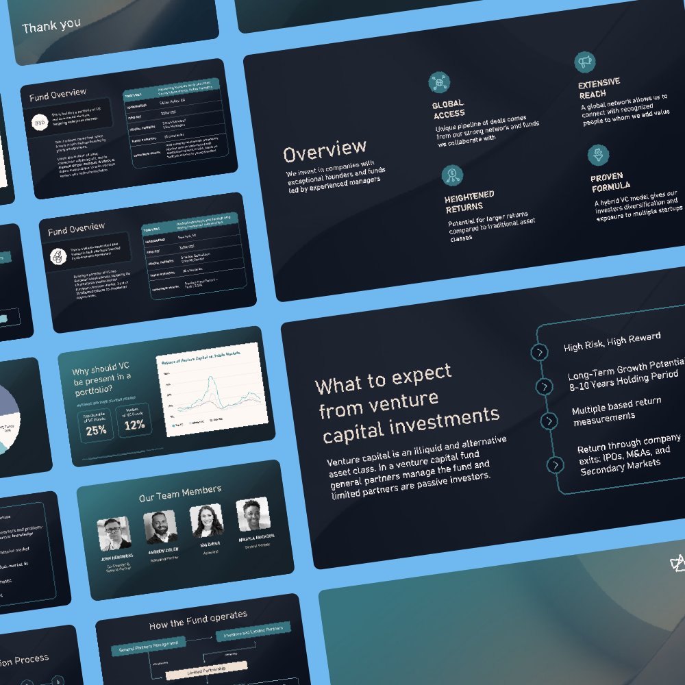 Venture Capital Fund Overview