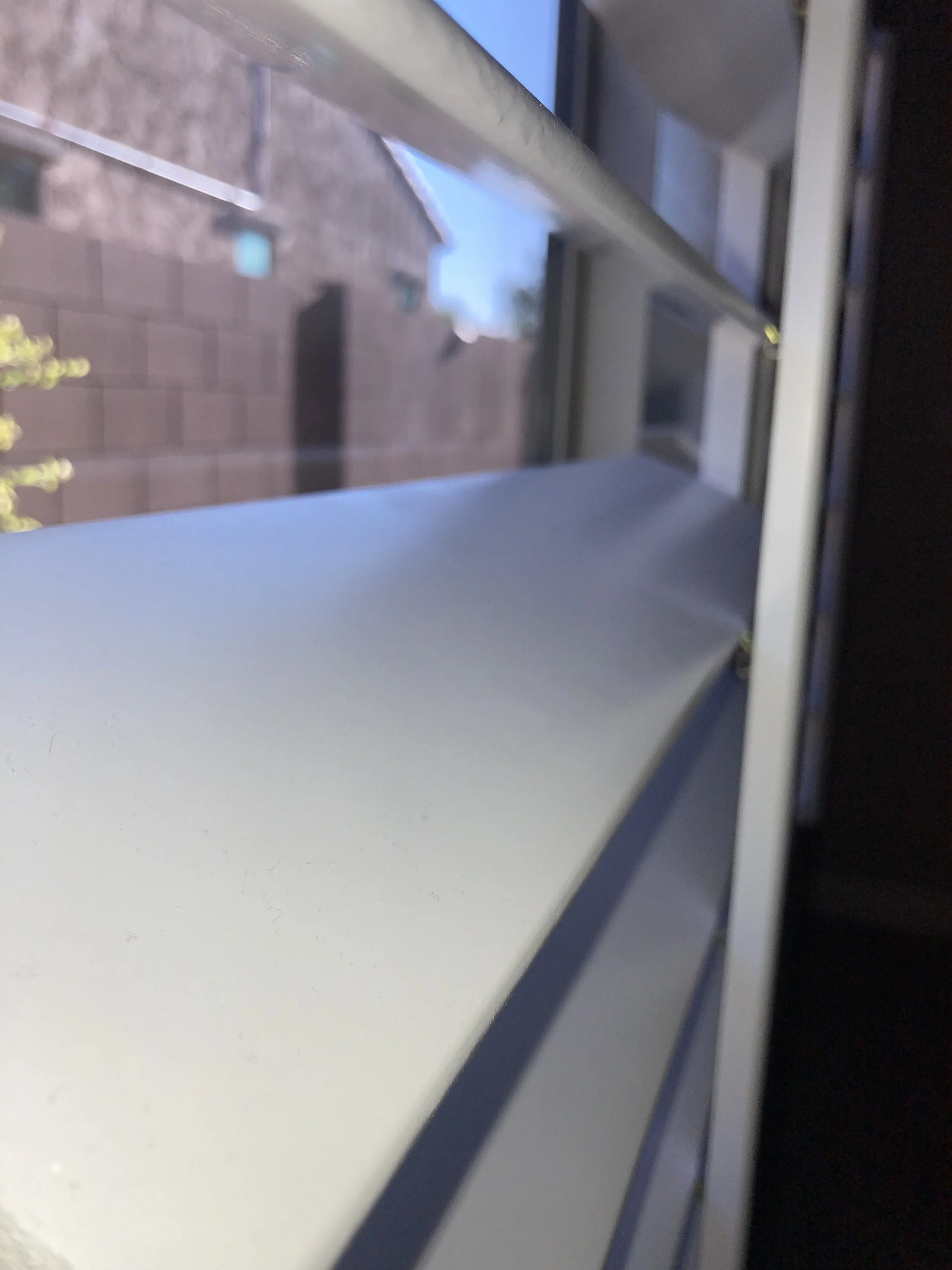 IMG_9409.jpeg