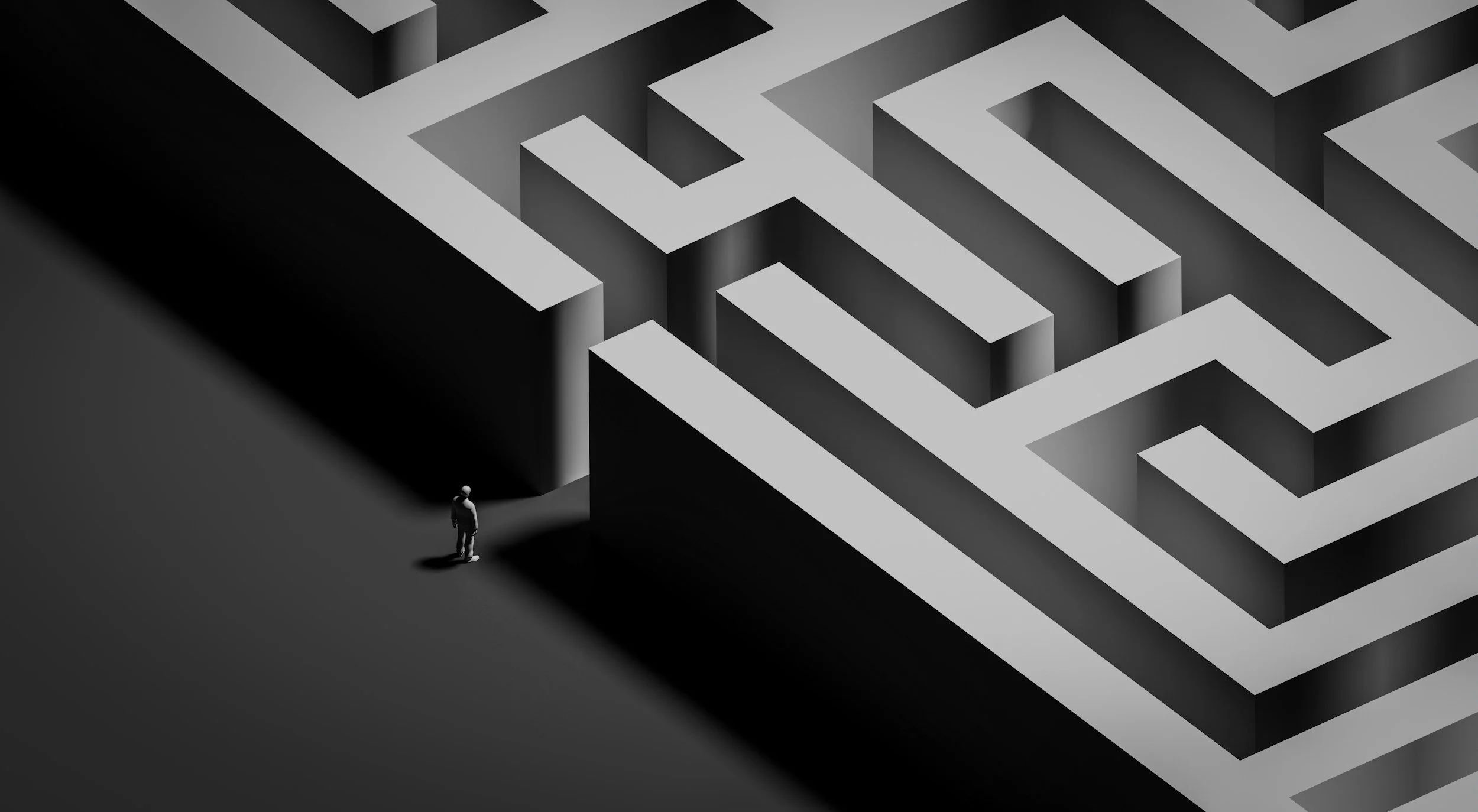 Business leader navigating complex strategic decisions, hidden costs, and stakeholder tradeoffs.