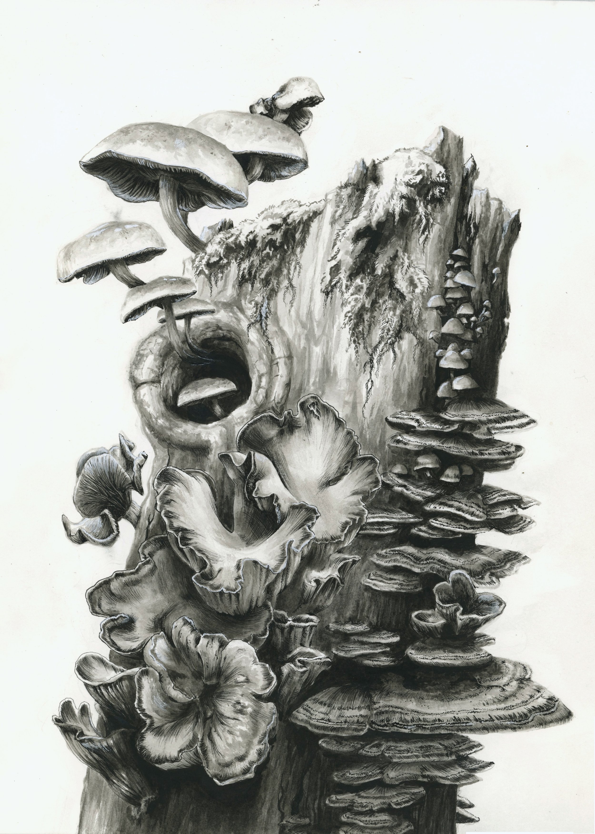 Mushroom Stump - Original Artwork