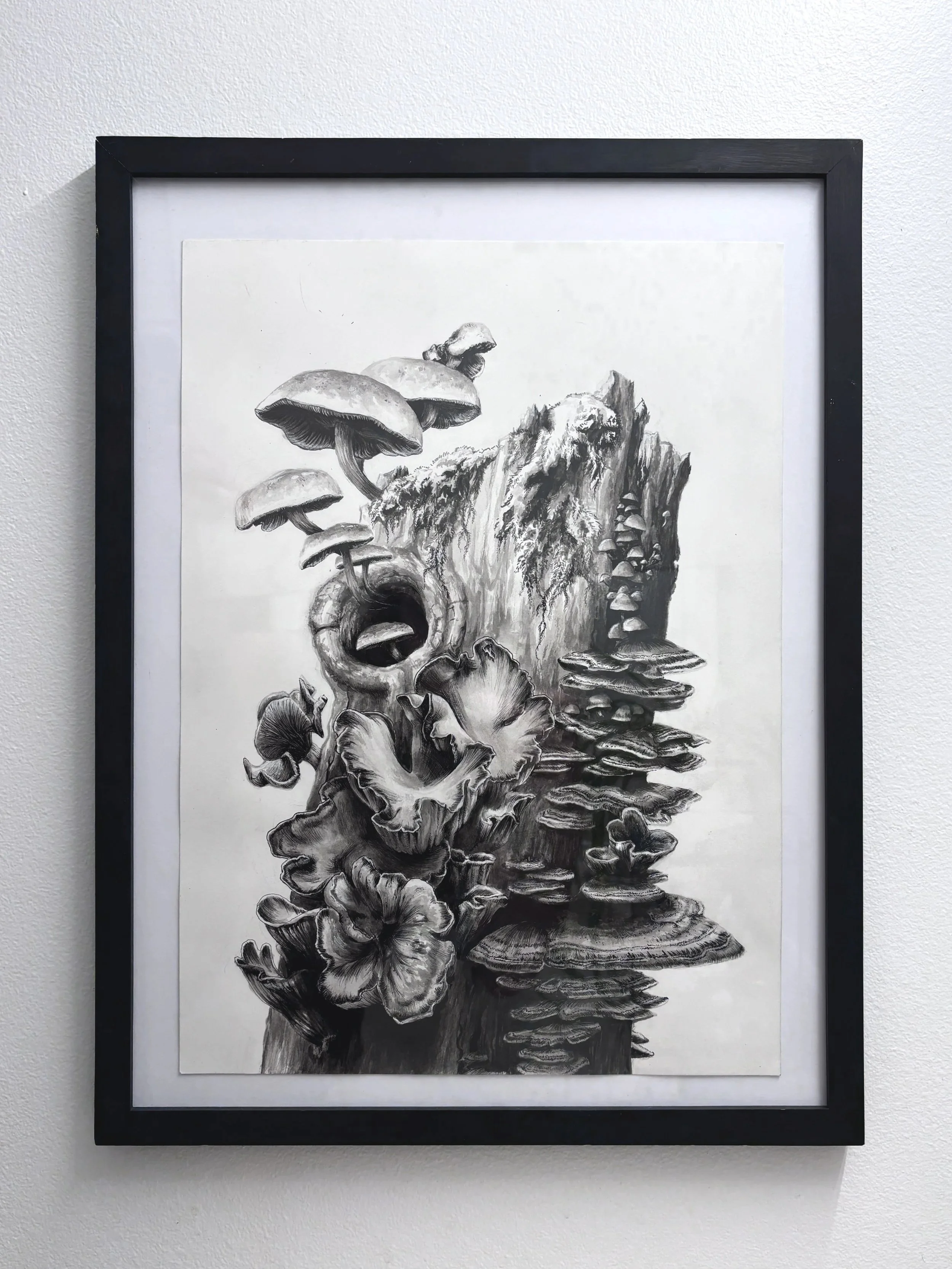 Mushroom-framed.jpg